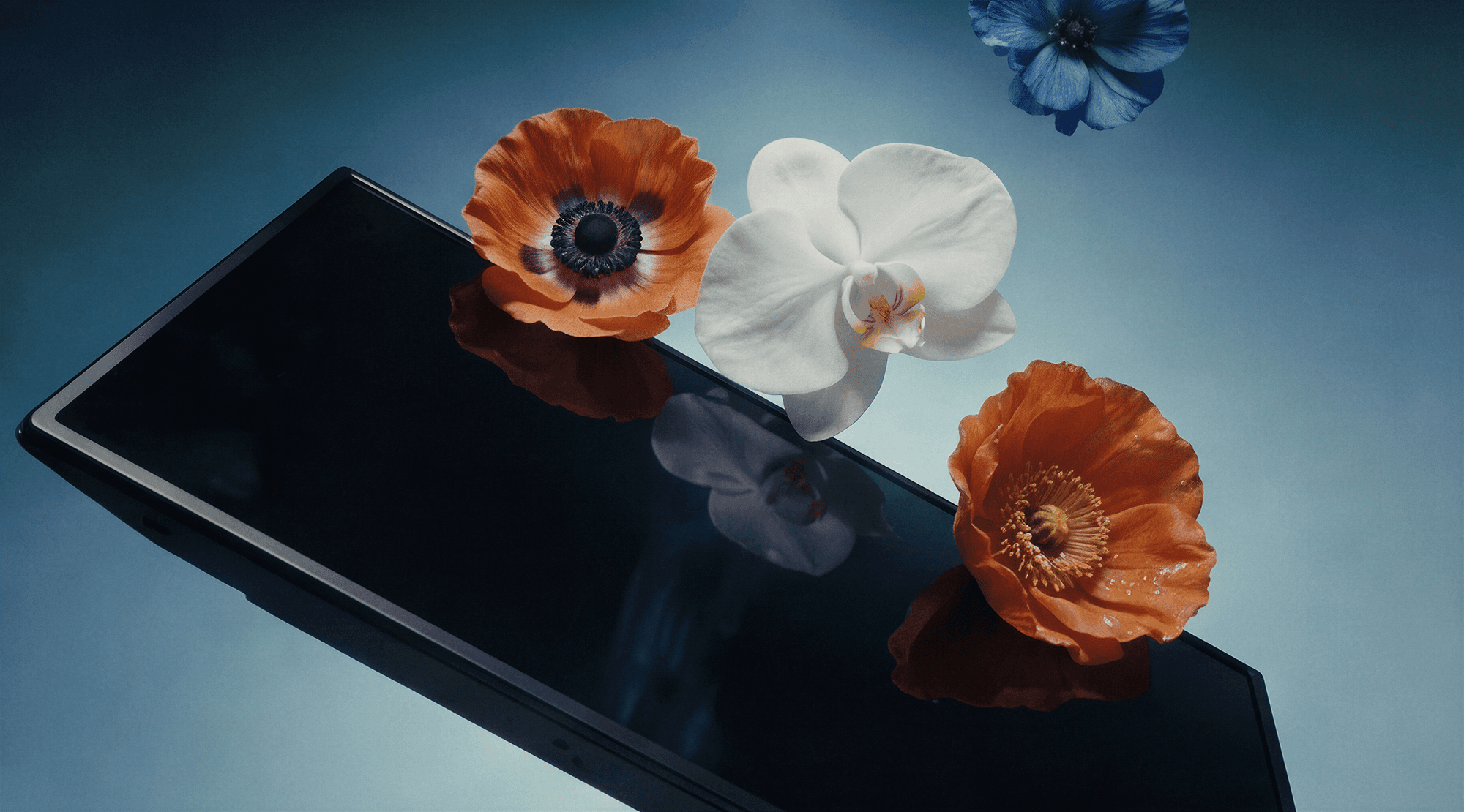 Streetside billboard with flyposters of the Batch.Works brand and illustrations