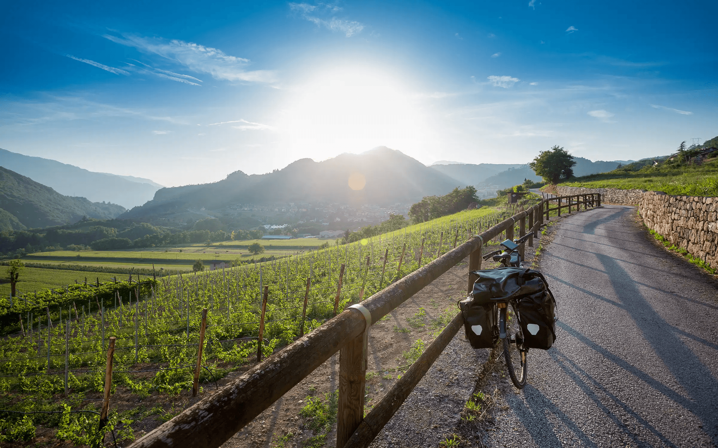 Cykelsemester från vingård till vingård i Italien - på egen hand
