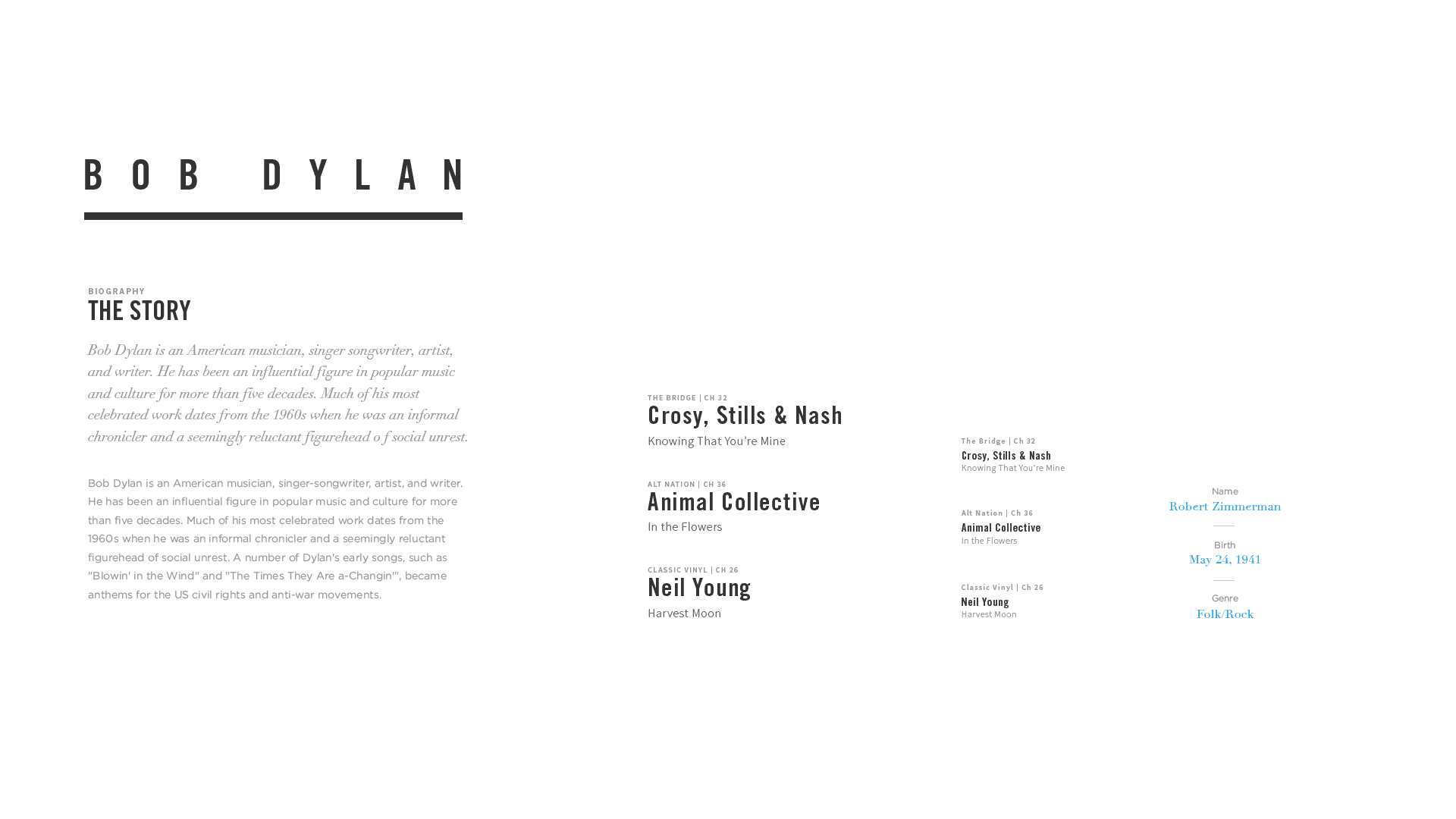 SiriusXM project artifact 8