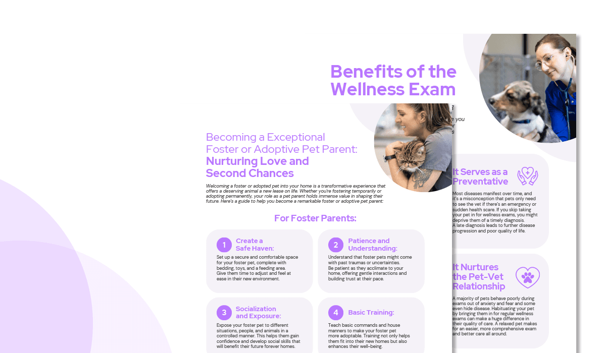 Essential Pet Vitality Content Pack Handouts|A sneak peak at our pet vitality educational handouts