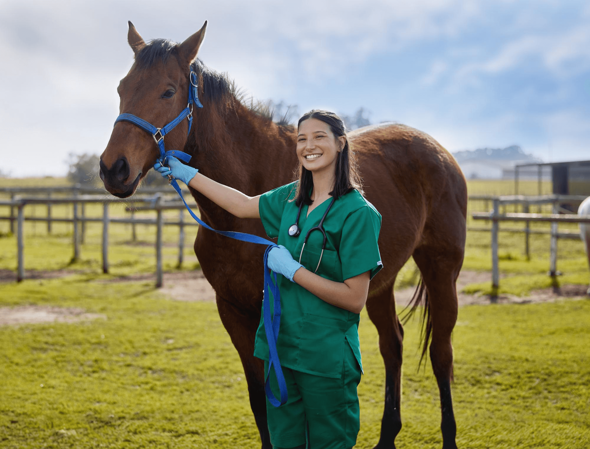 Veterinarian