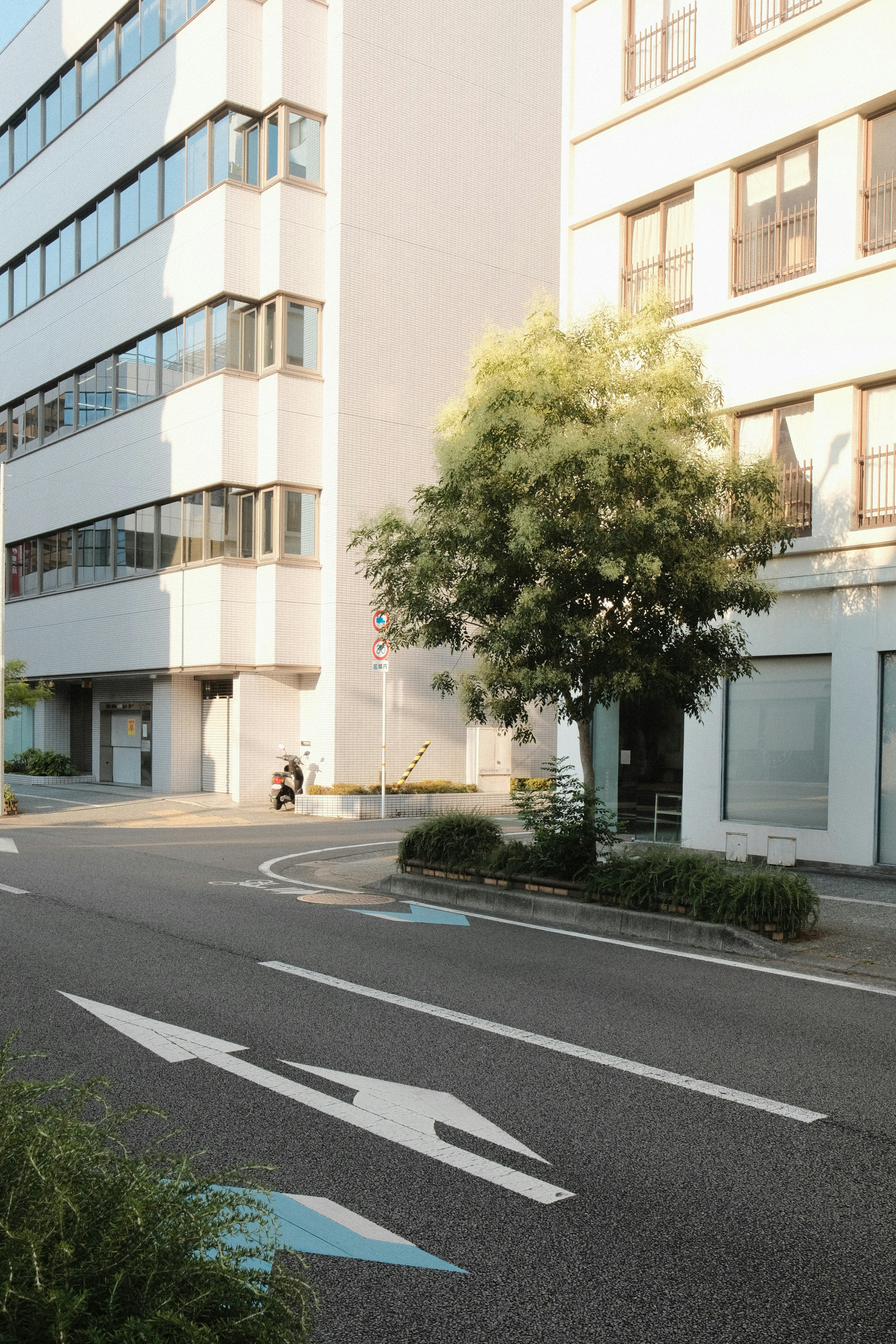 Modern buildings line a street with directional arrows.