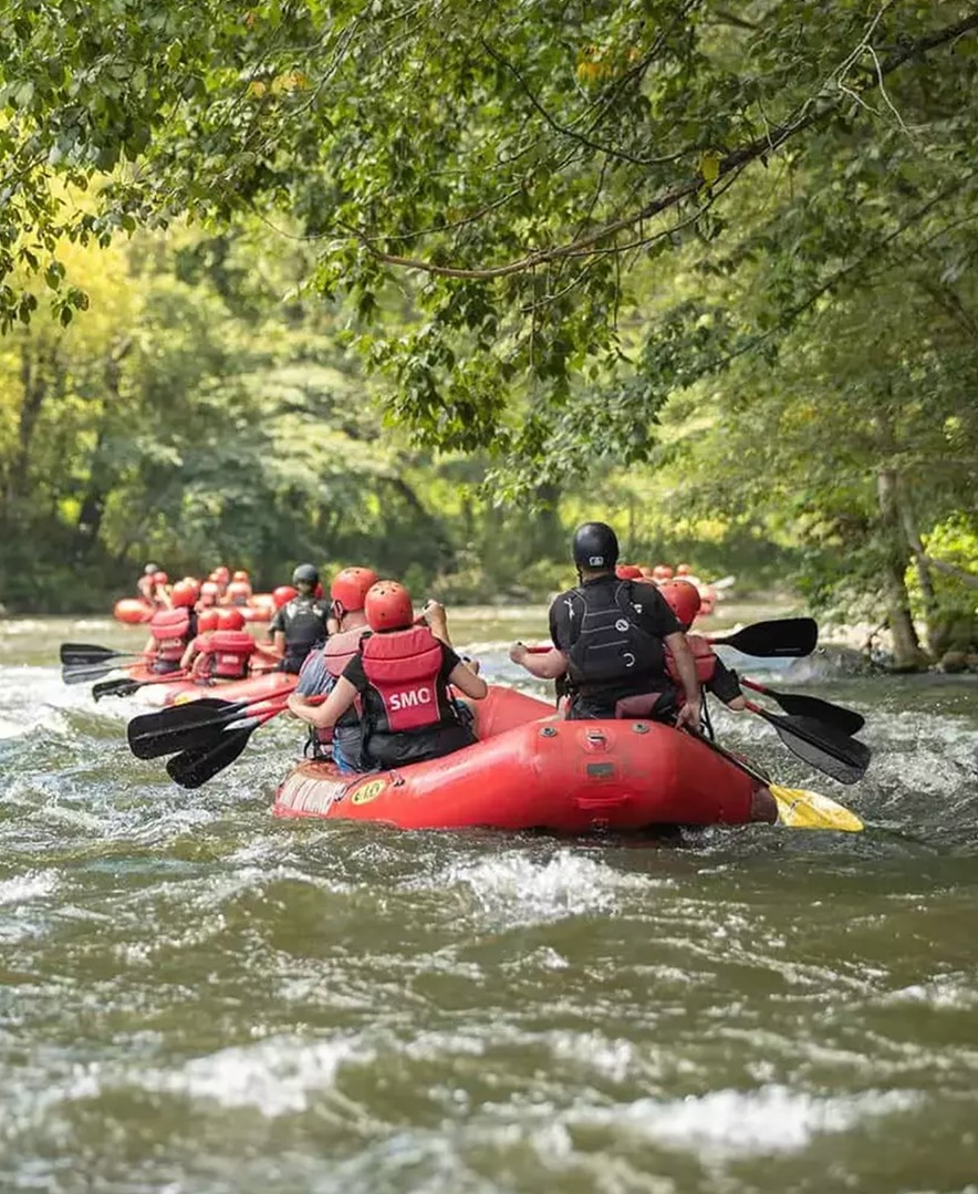 A group of rafts floats under shade trees on a calm stretch of river