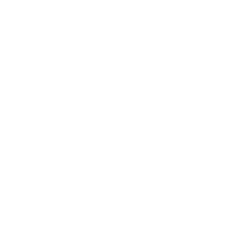 Exord logomark