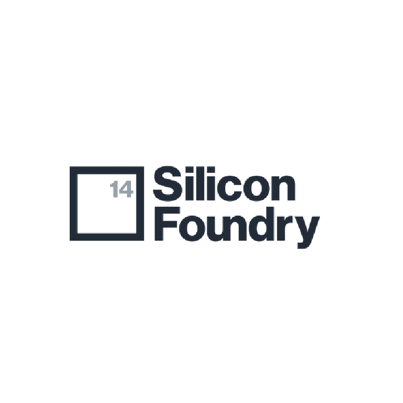 silicon foundry
