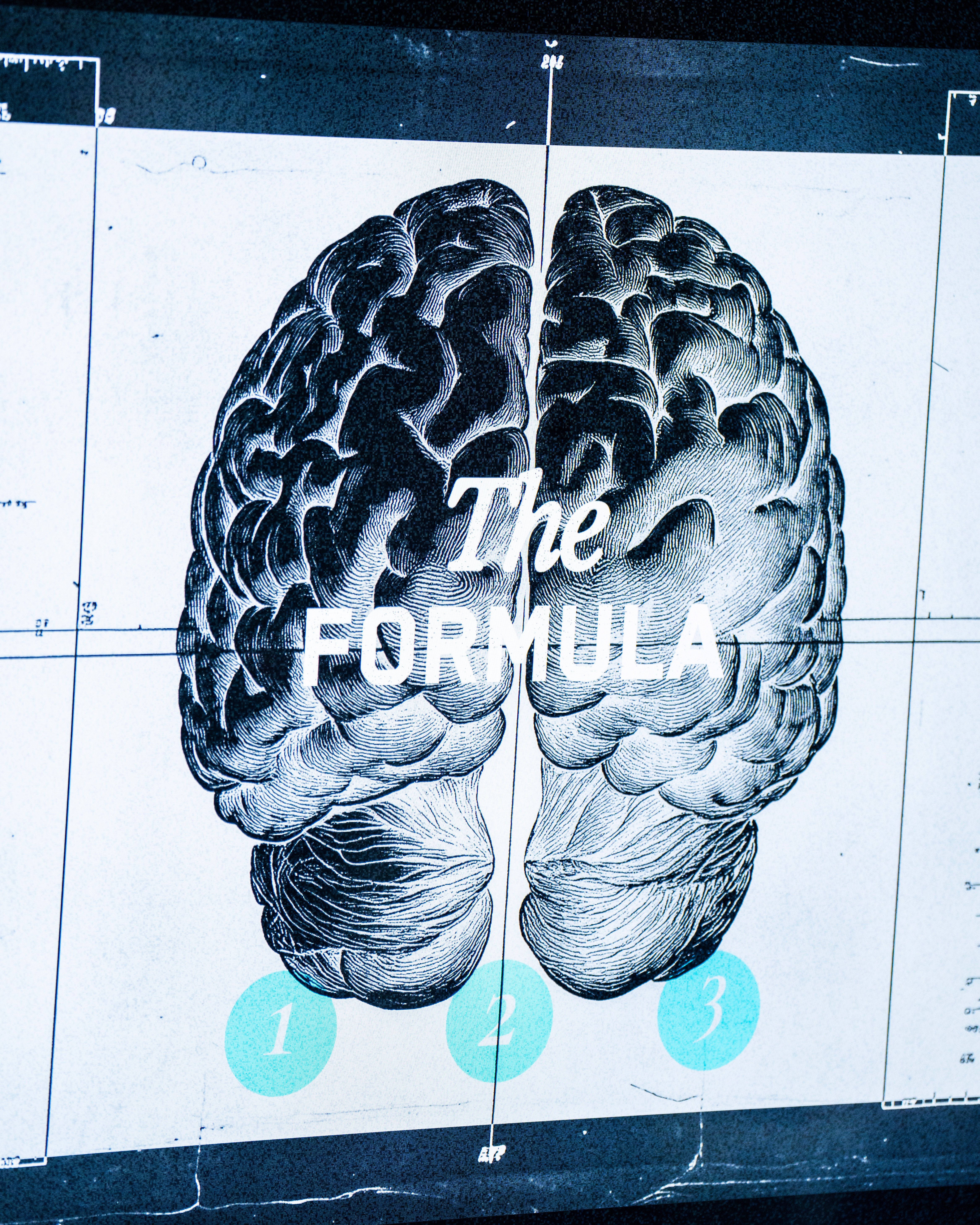 Here comes the alt text