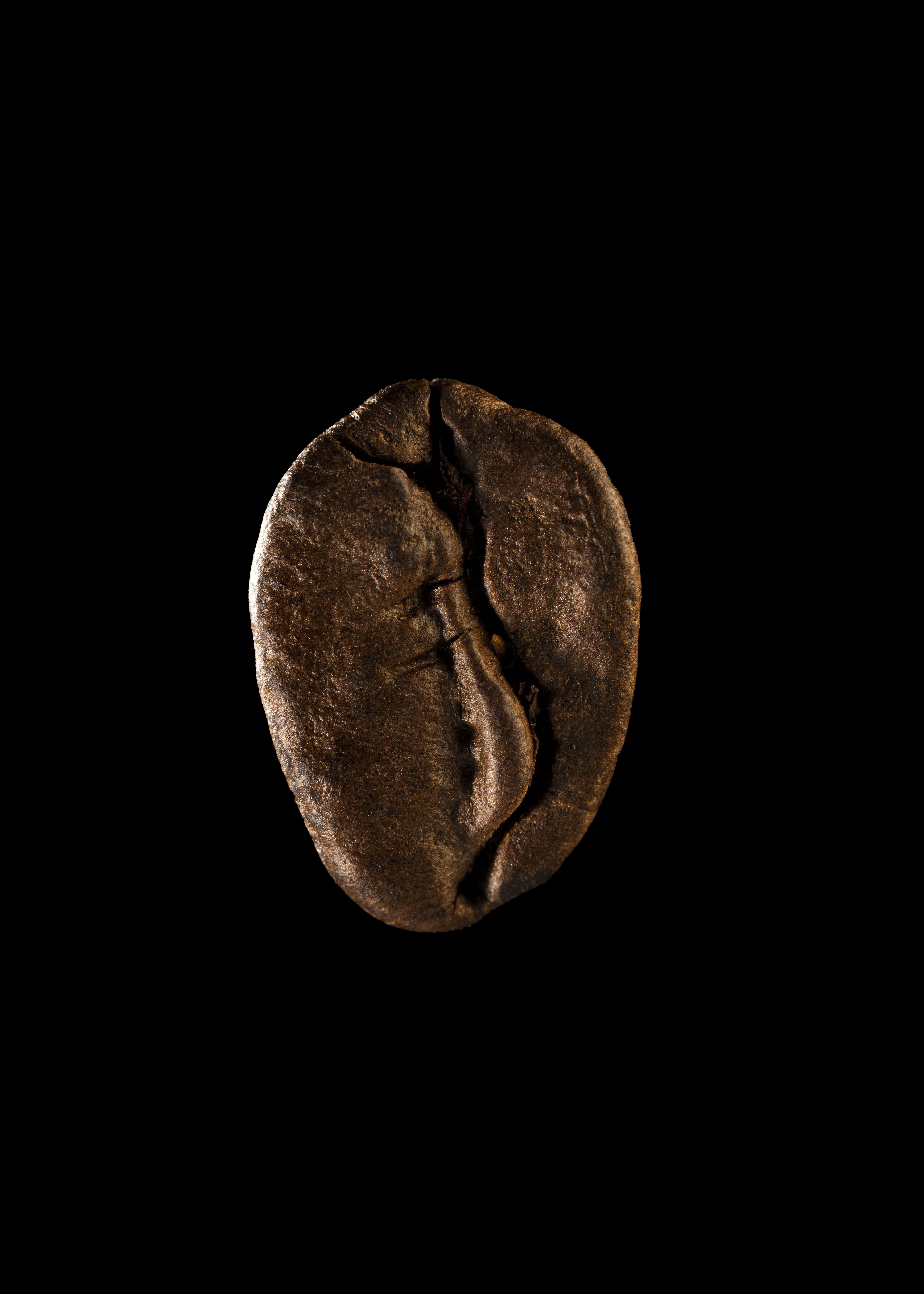 Culinaire, Food, Studio Photo, Pierretmae