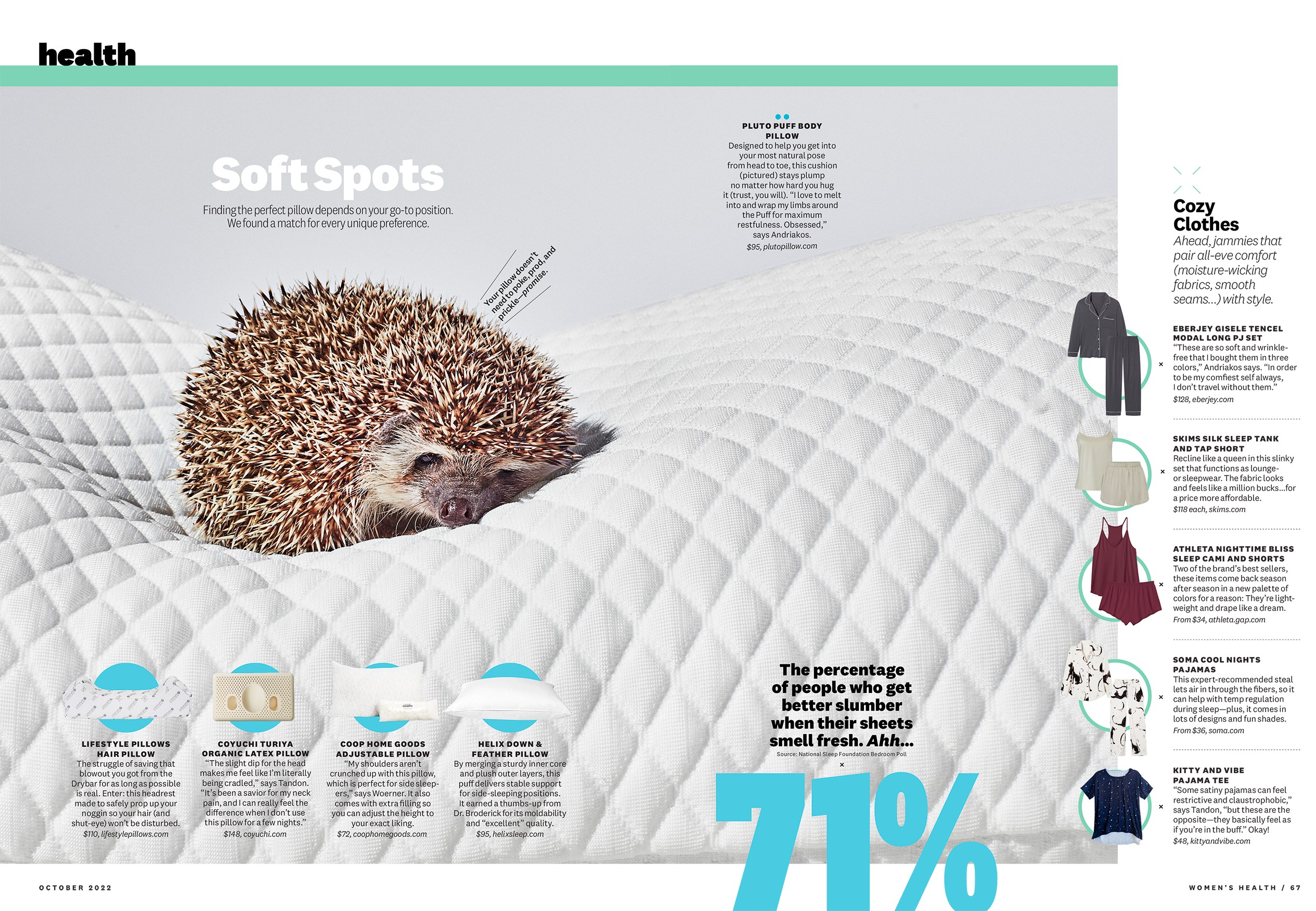 A layout for the sleep awards with a hedgehog sleeping on top of a giant comfy pillow