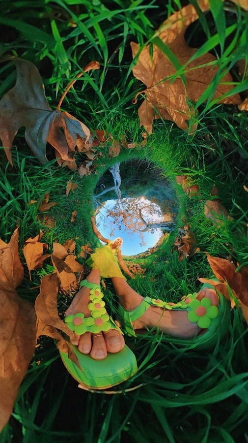 fisheye image of a garden