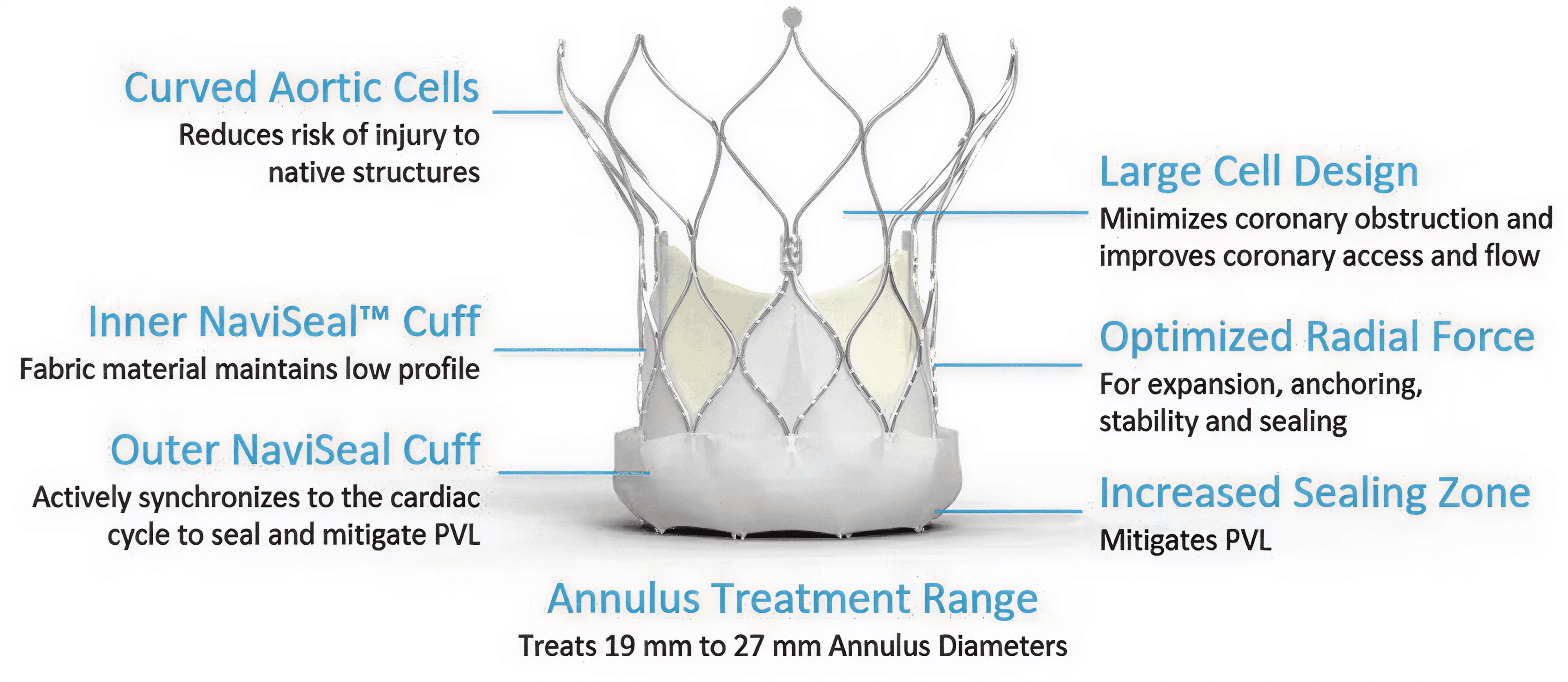 Abbott Navitor Vision Valve for high-risk aortic stenosis treatment in India.