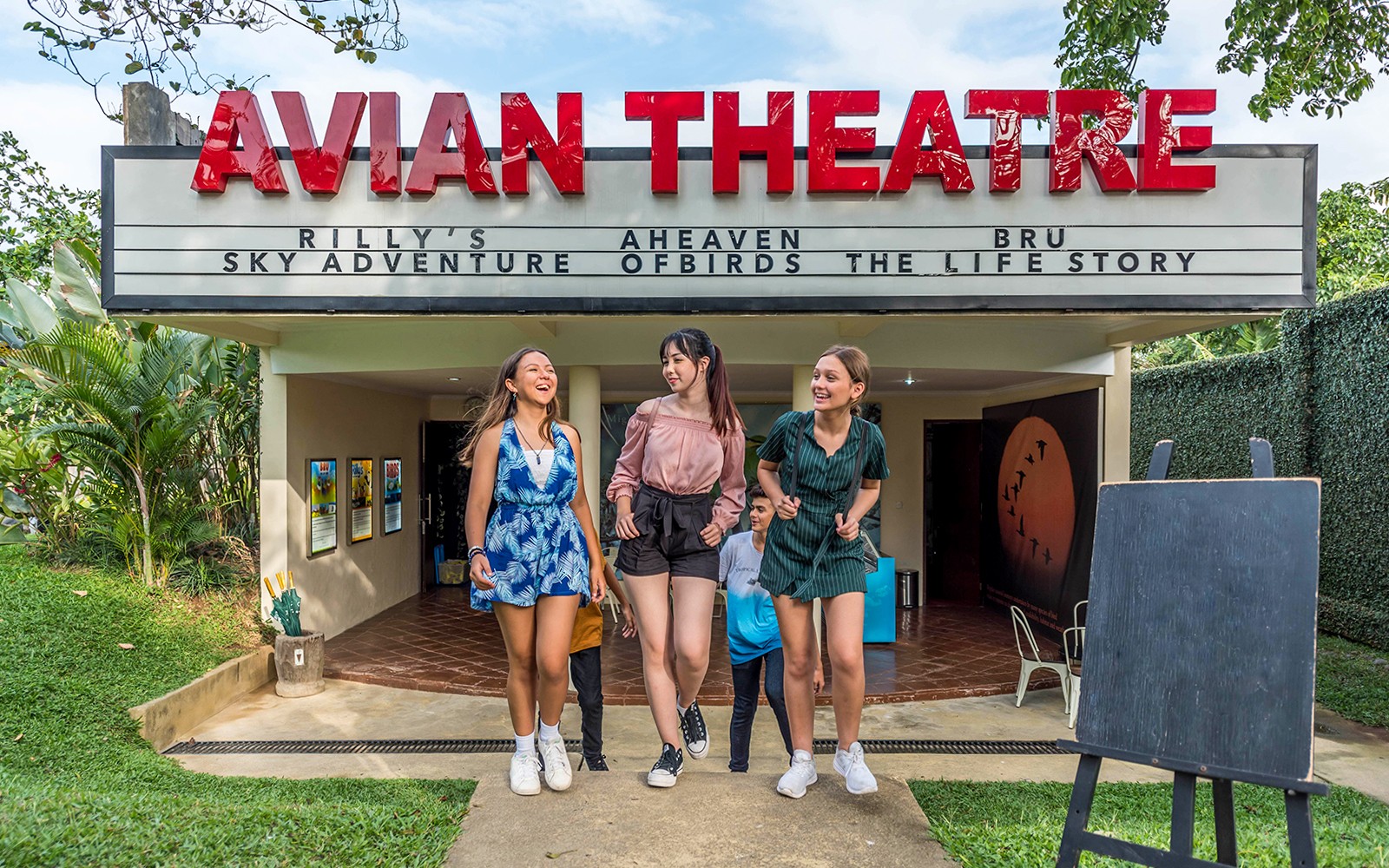 Bali Bird Park Tickets for Non-Indonesian Residents, featuring exotic birds in a lush, tropical setting