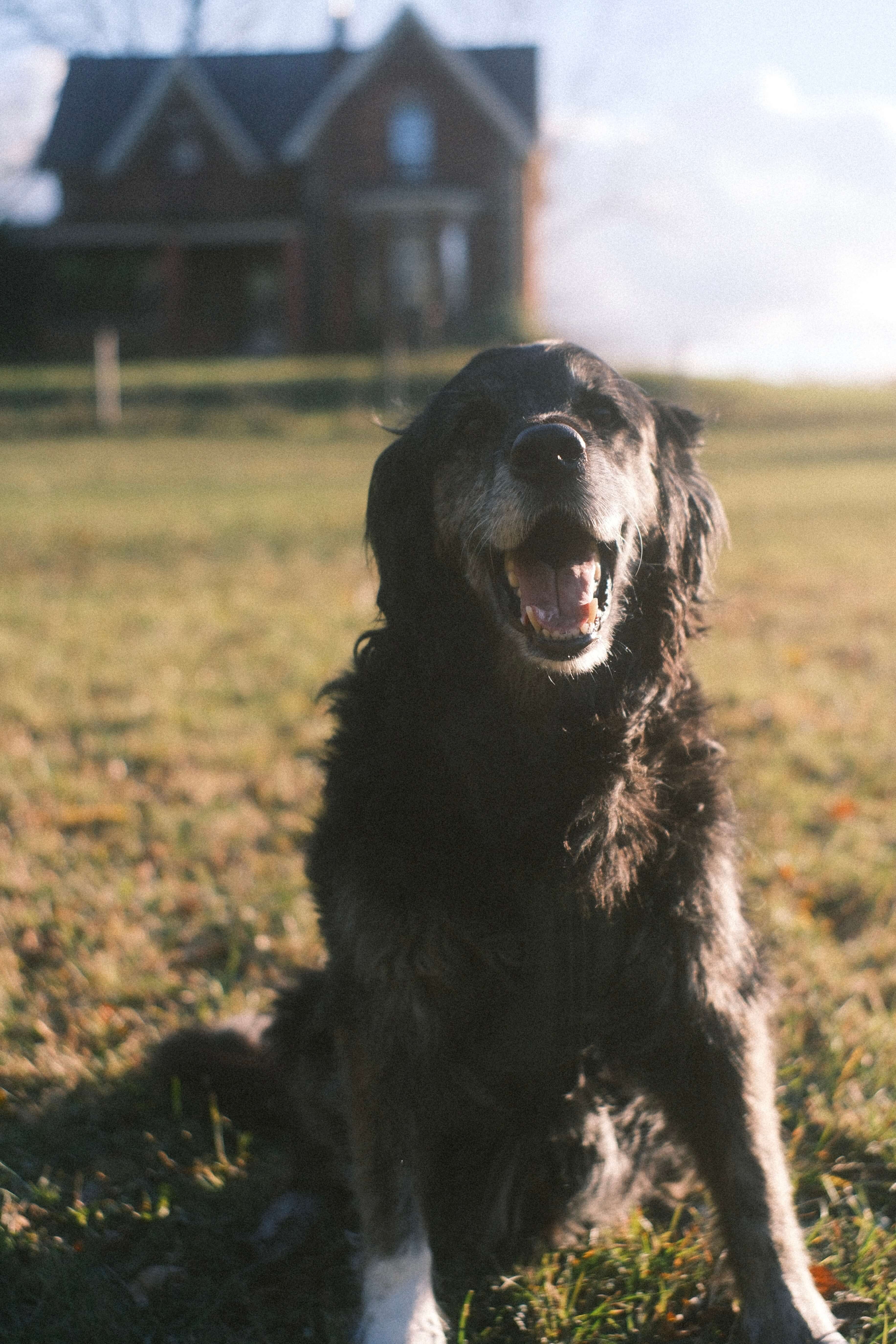 Urban Street Fashion Portrait