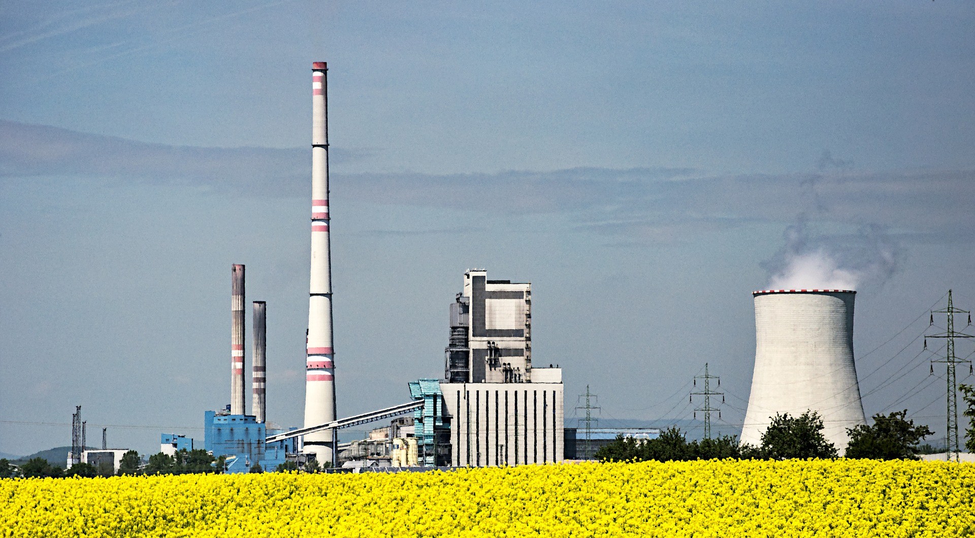 a field of yellow flowers and a smoke stack for a biofuel plant