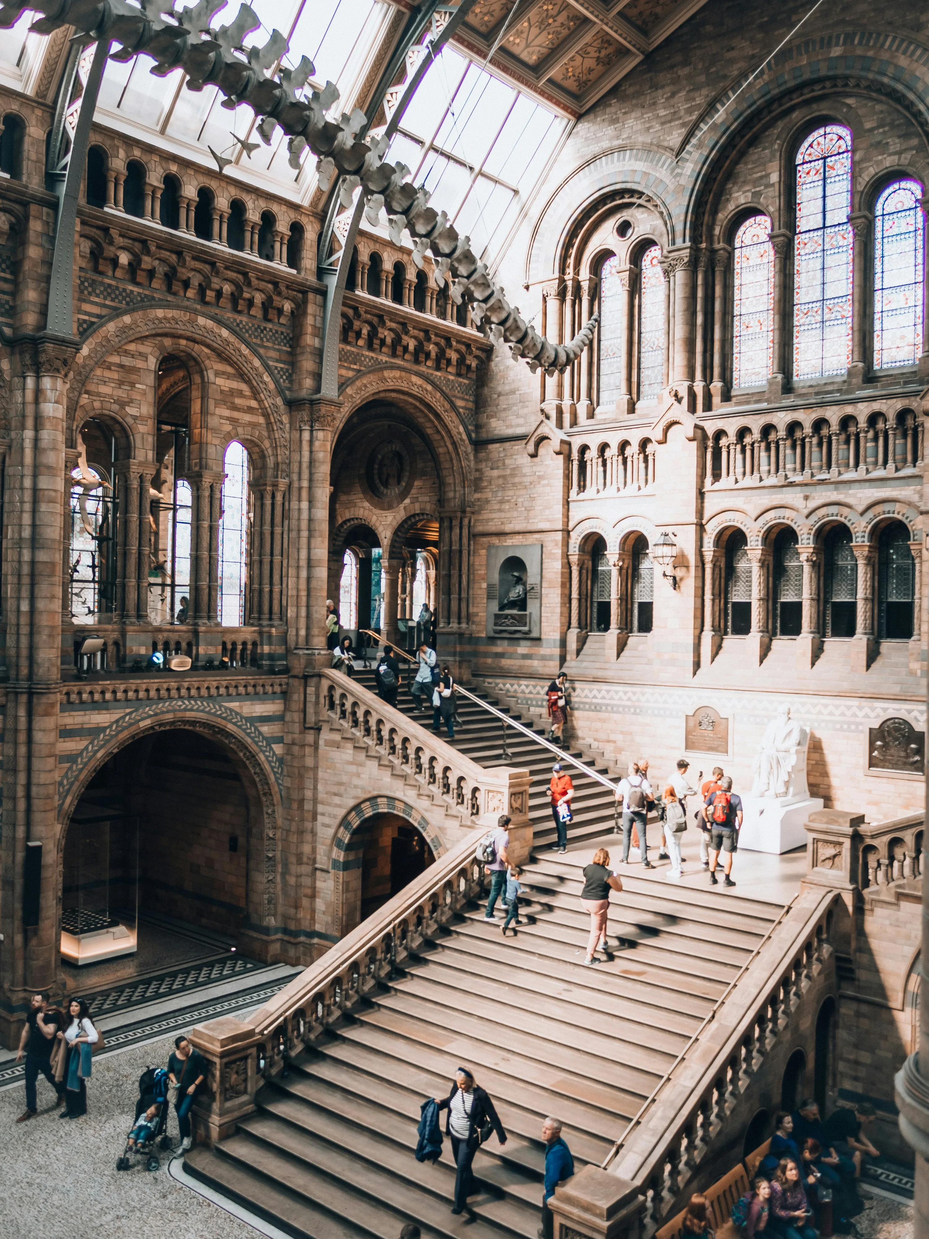 A staircase with several people in Hintze Hall of the Natural History Museum, with the tail end of a whale skeleton overhanging above.