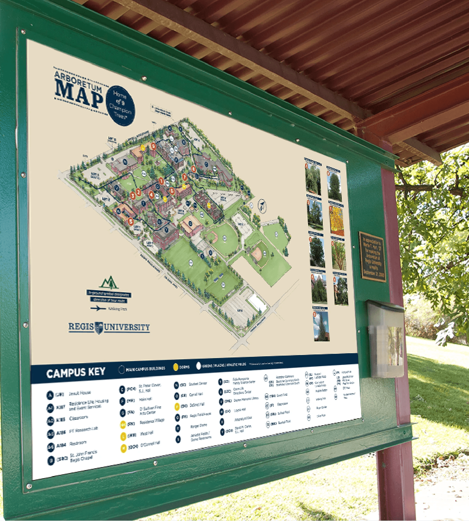 Project Content Image - 2