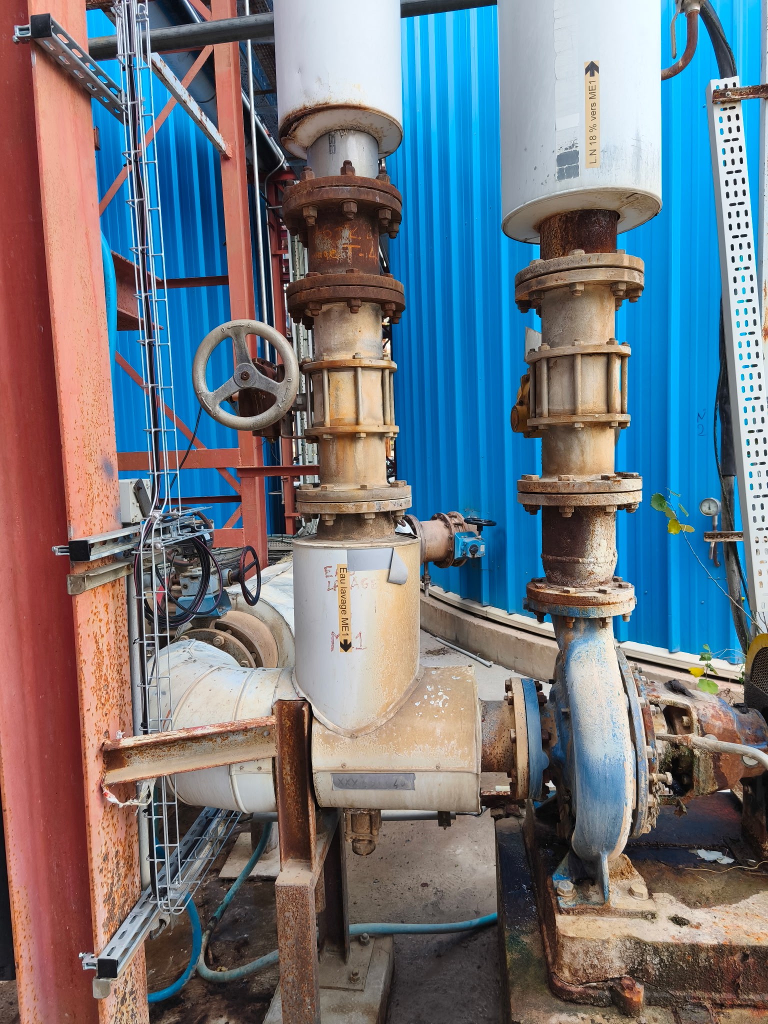Close-up of a dark green leaf showing its textured surface and central vein against a muted background.