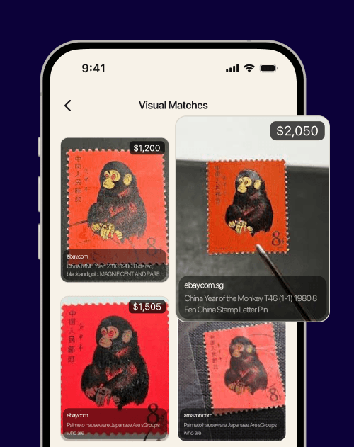 Close-up of a tree stump showing growth rings and a textured brown wood surface.