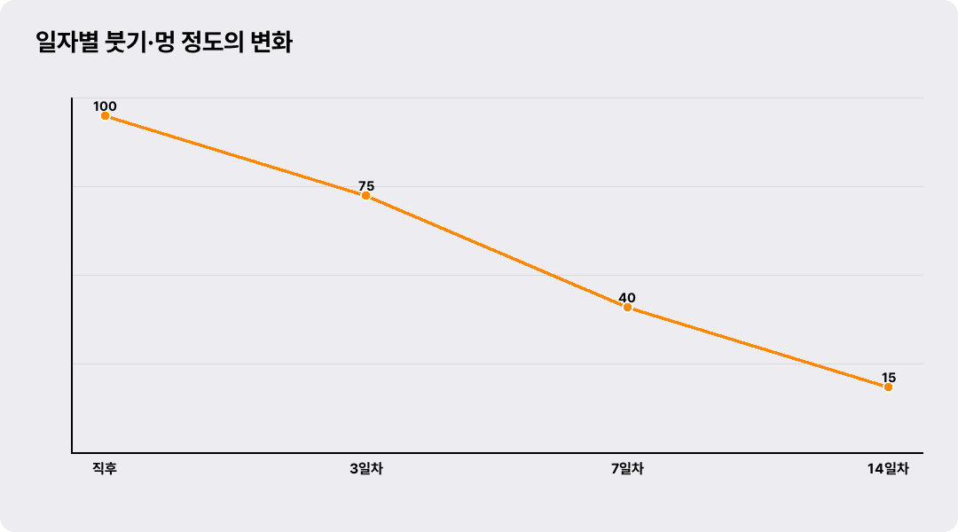 일자별 붓기·멍 정도의 변화