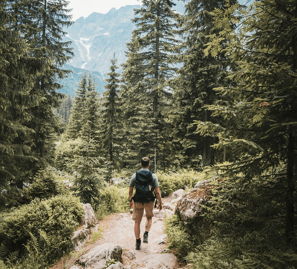A hiker walks a path through a forest toward a mountain