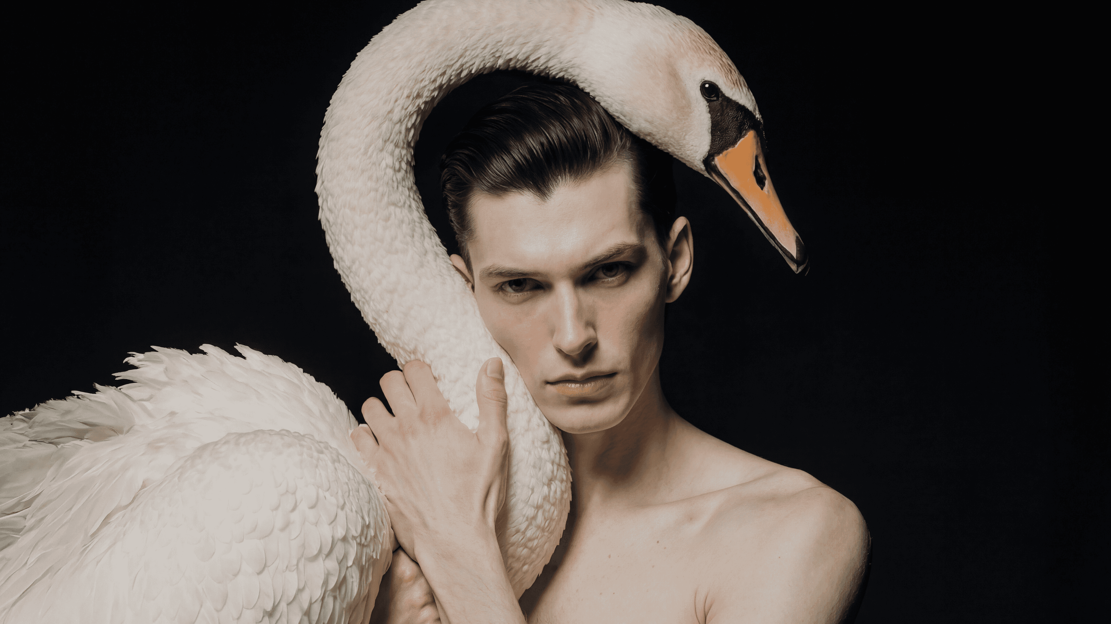 Art direction for SWAN: A high-contrast portrait of a model embracing a swan against a black background