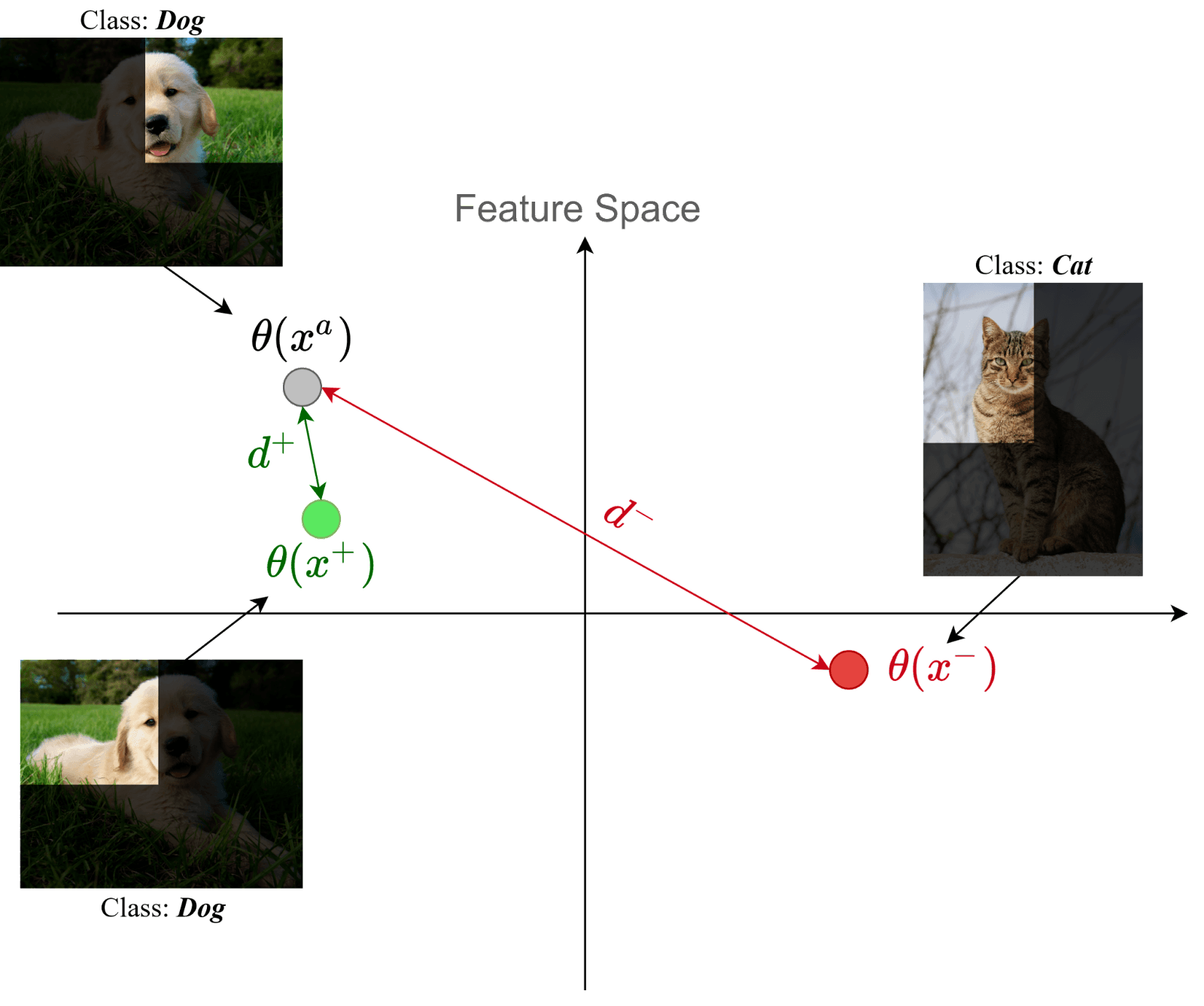 Contrastive Learning