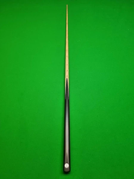 sunny akani cue model begin