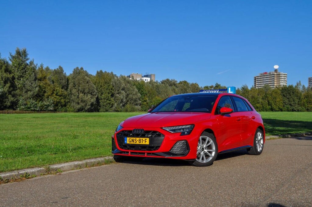 Close-up of a green palm leaf with intricate veining and texture, showcasing rich shades of green.