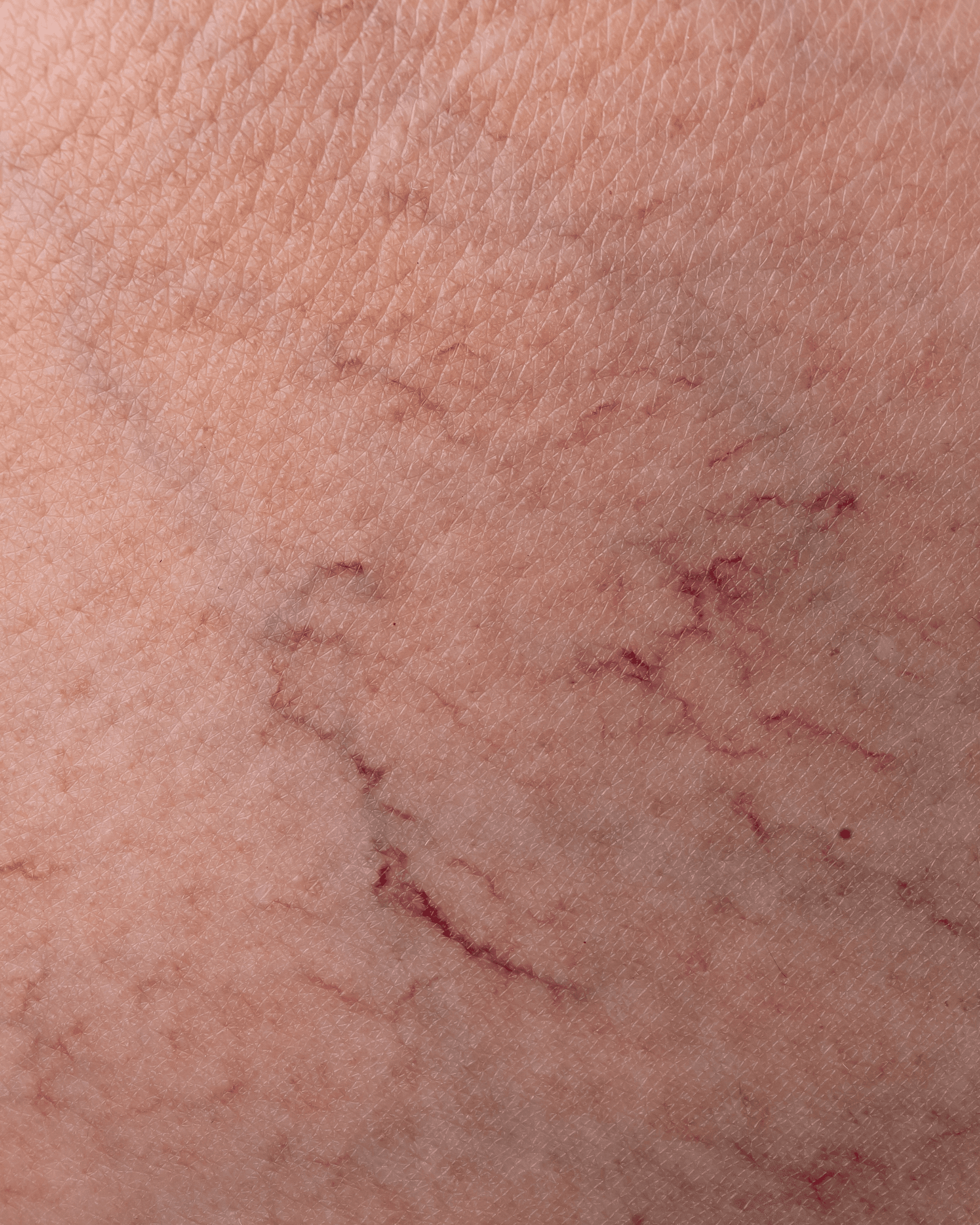 brown leaf in close up photography