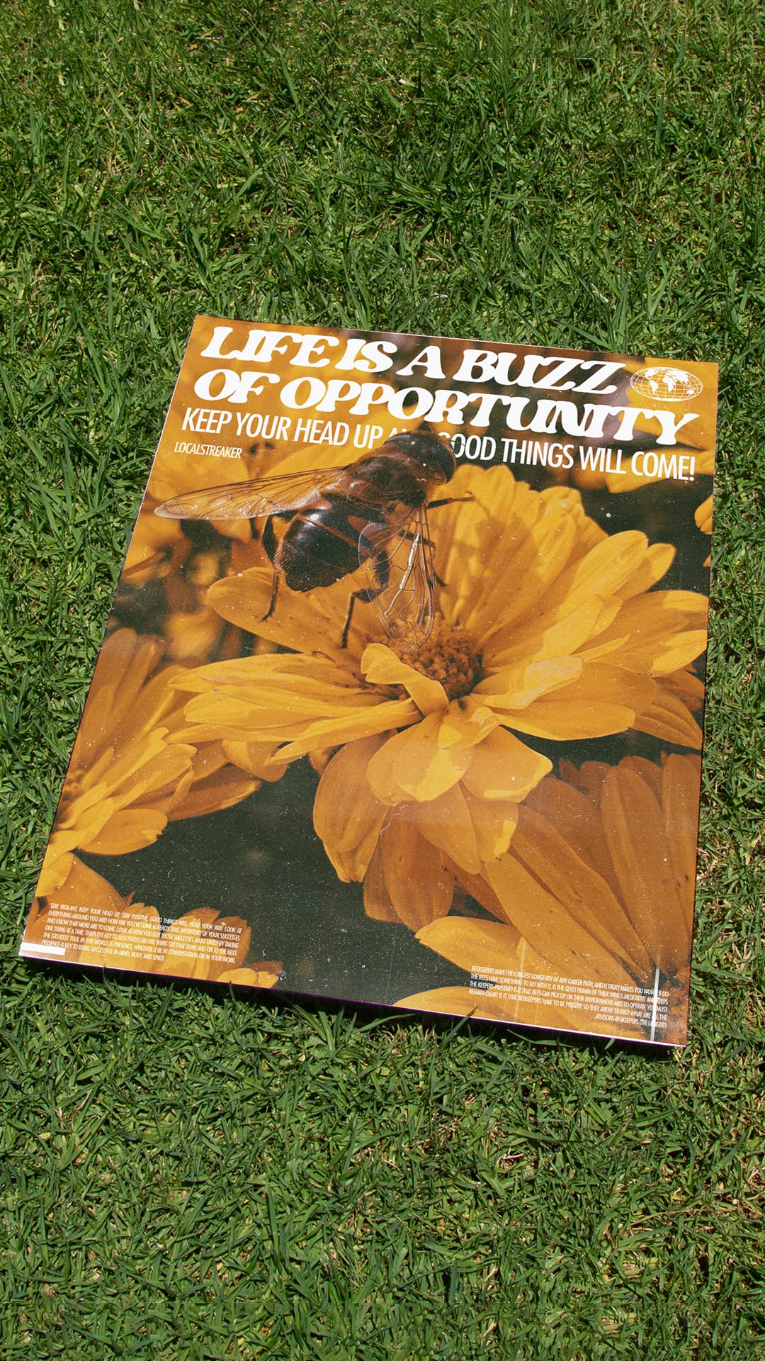 Printed poster laid on green grass featuring oversized editorial typography and a close-up bee over vibrant yellow flowers, combining bold graphic design with nature-inspired imagery.