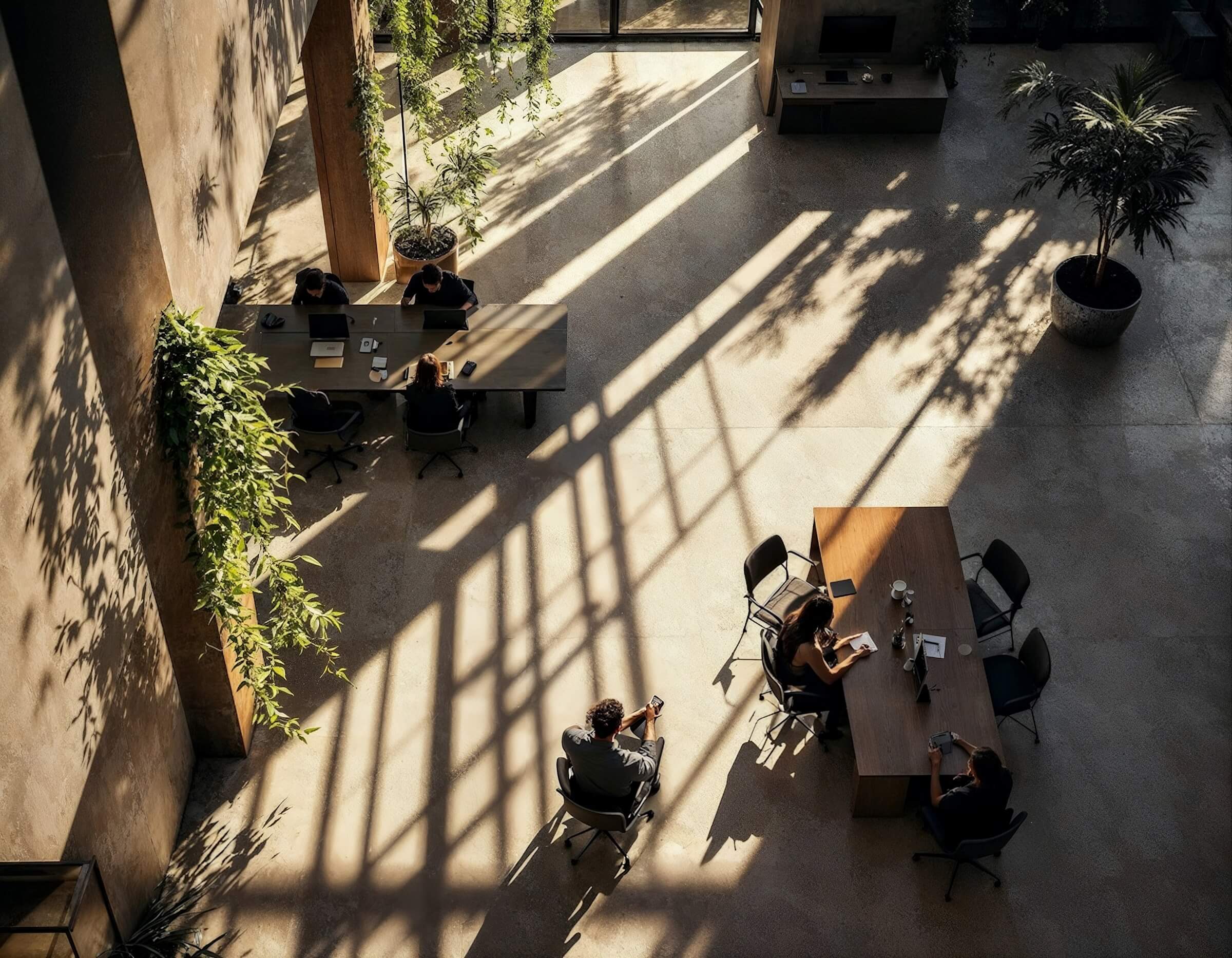 Aerial view of three people working at a shared desk in a sunlit courtyard office surrounded by lush plants and dramatic shadows