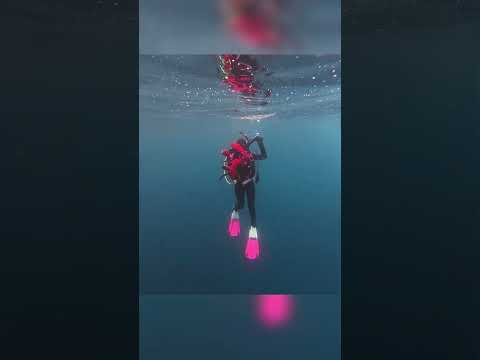 Thumbnail of a recent video from creator