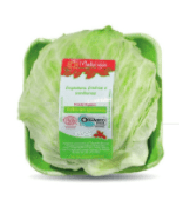 Foto de Alface Americana