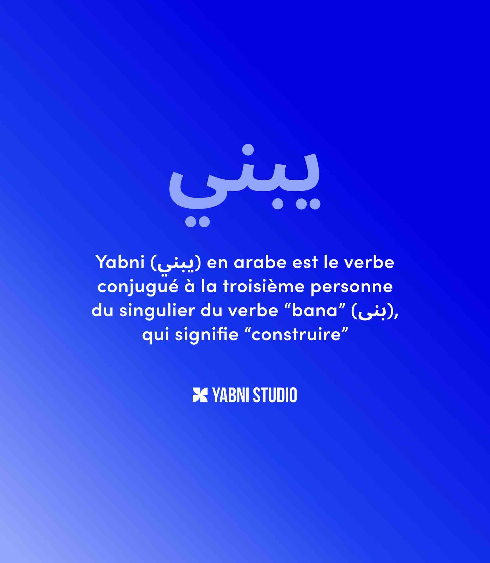 green and brown cactus plant