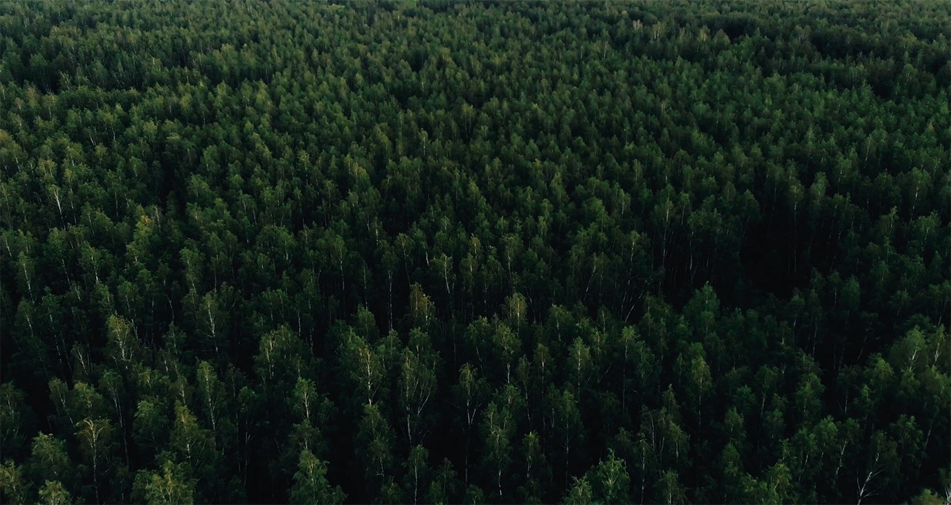 Straugatskii Project