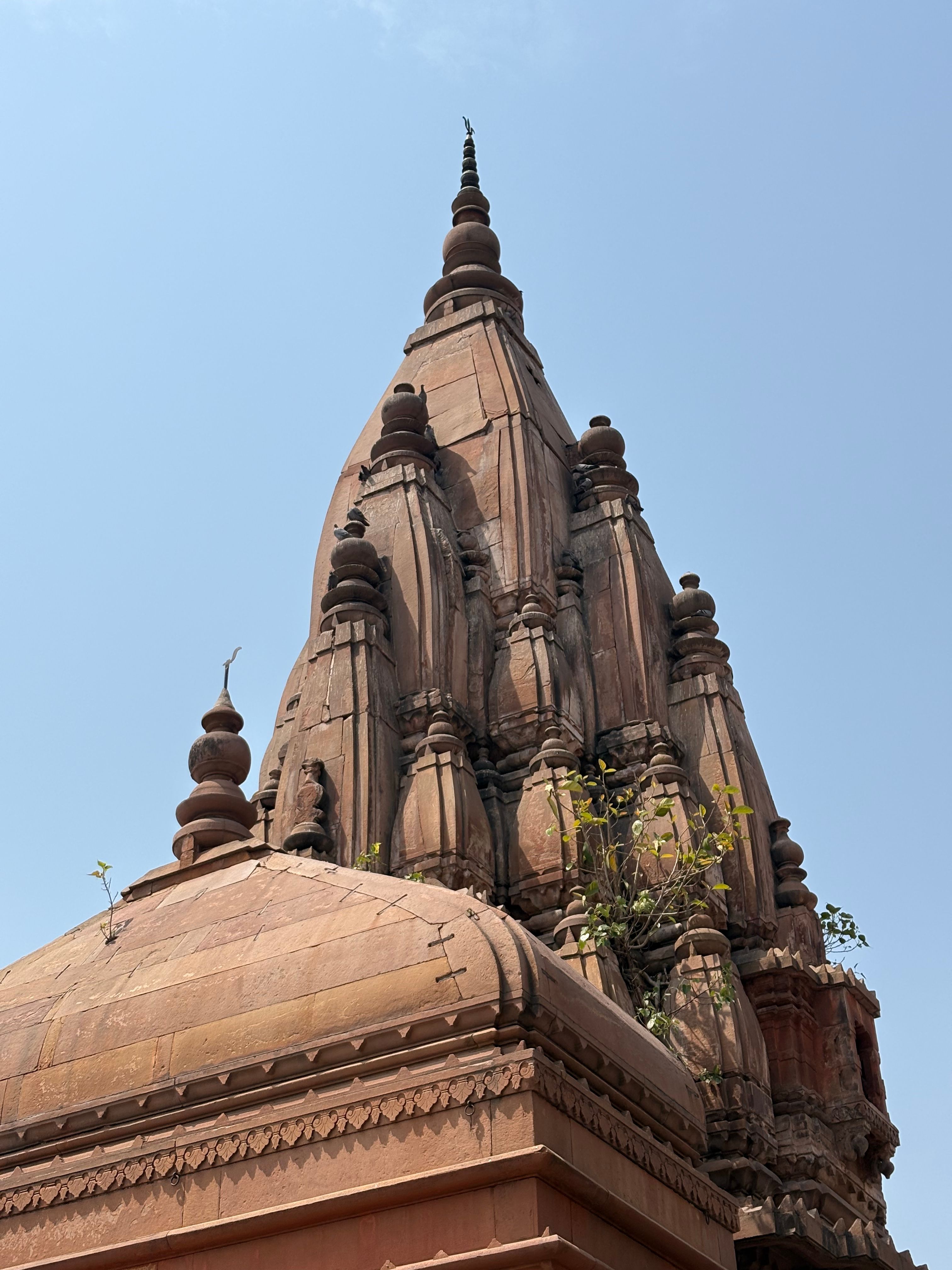 A tall building with trees and vases.