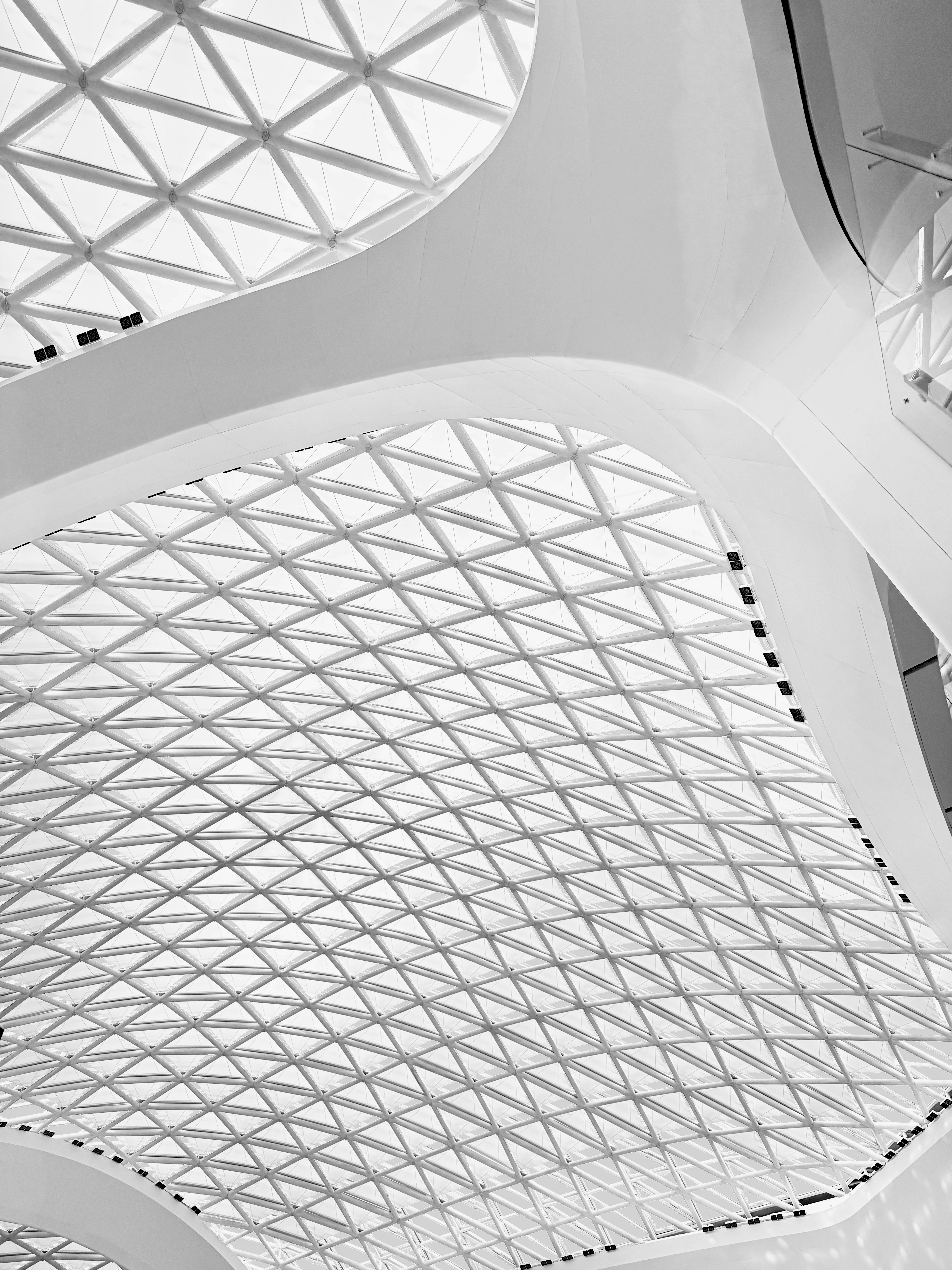 Modern geometric ceiling with intricate patterns