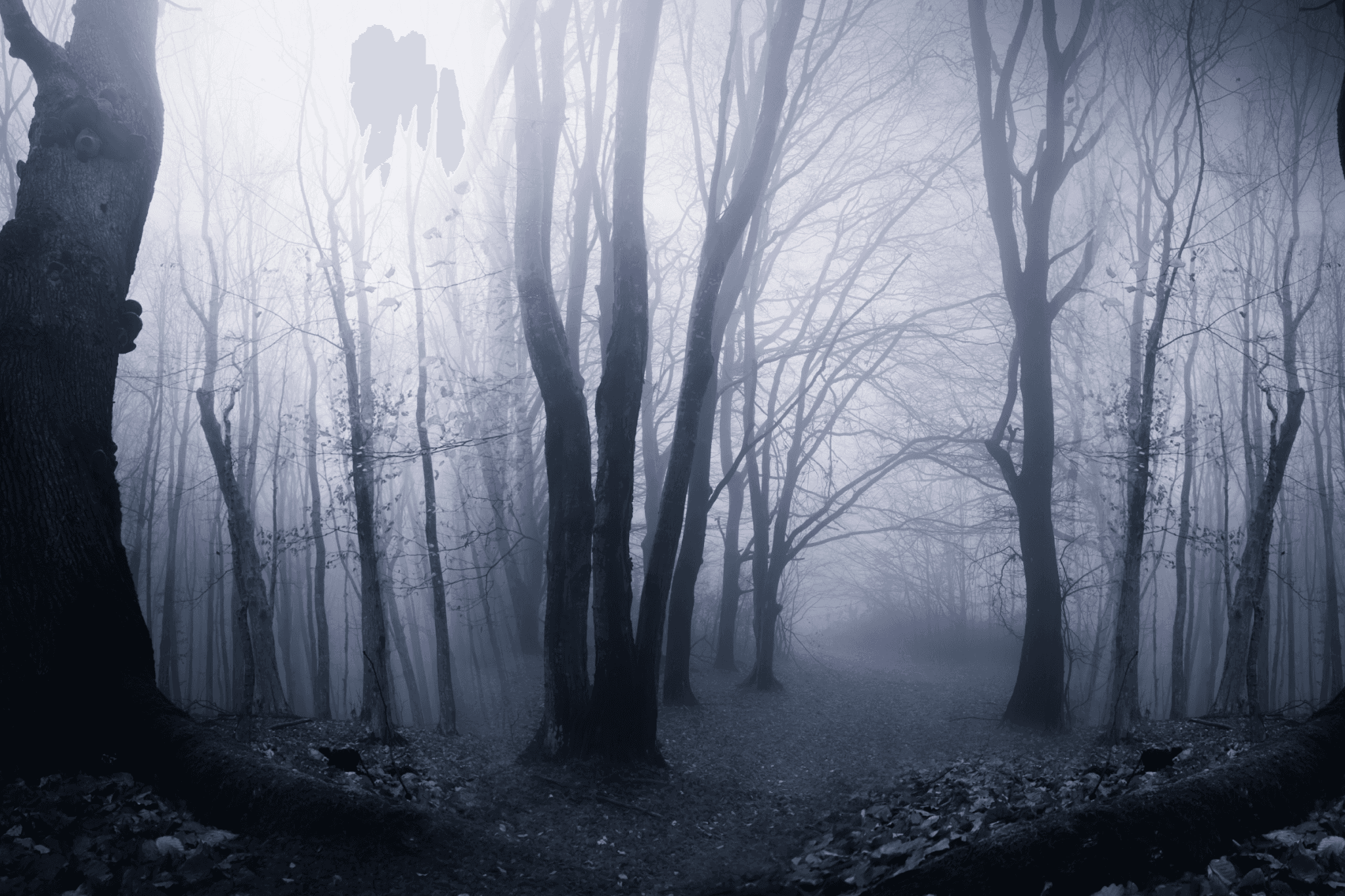 The Mist