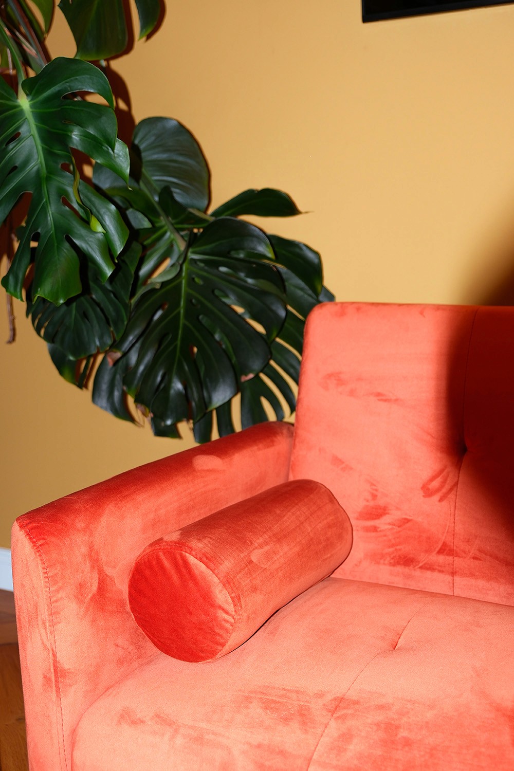 Orange Couch und Monstera Pflanze in Agentur Wien