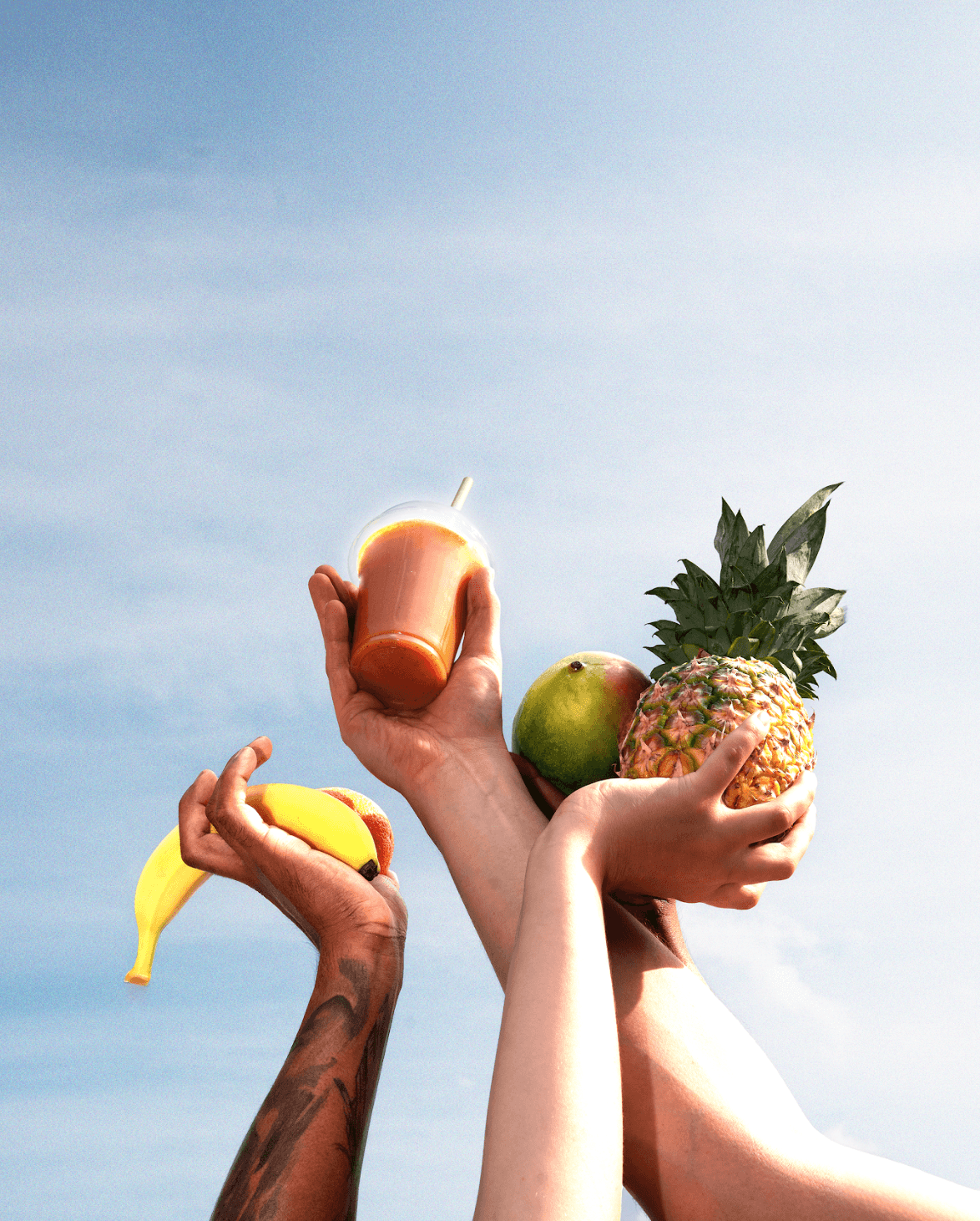 Dry Mix Smoothie Contents