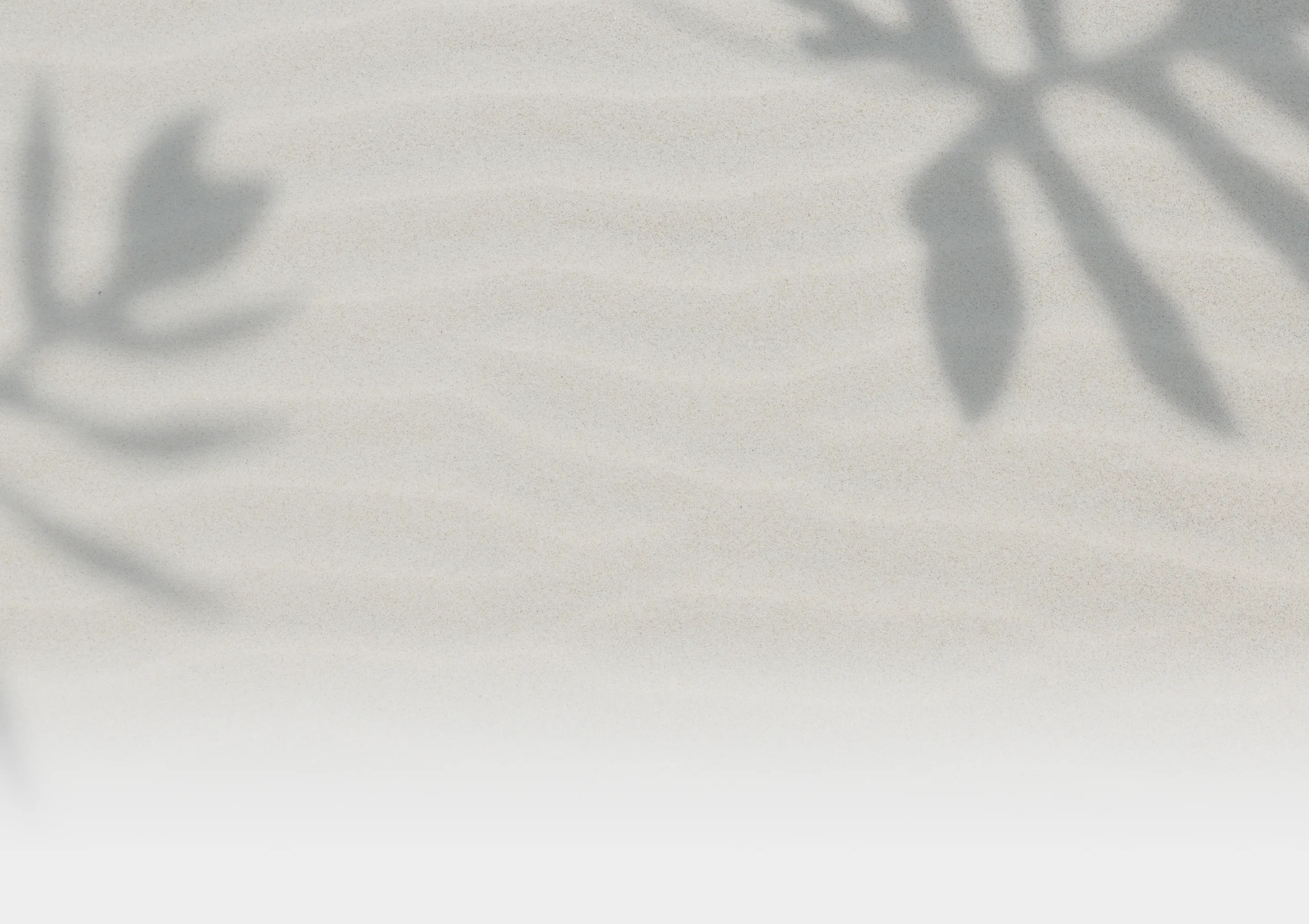 background beach sand