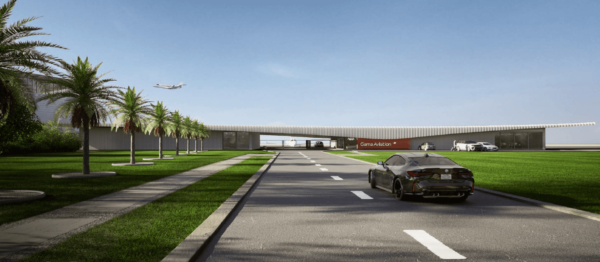 road surrounded by vegetation 