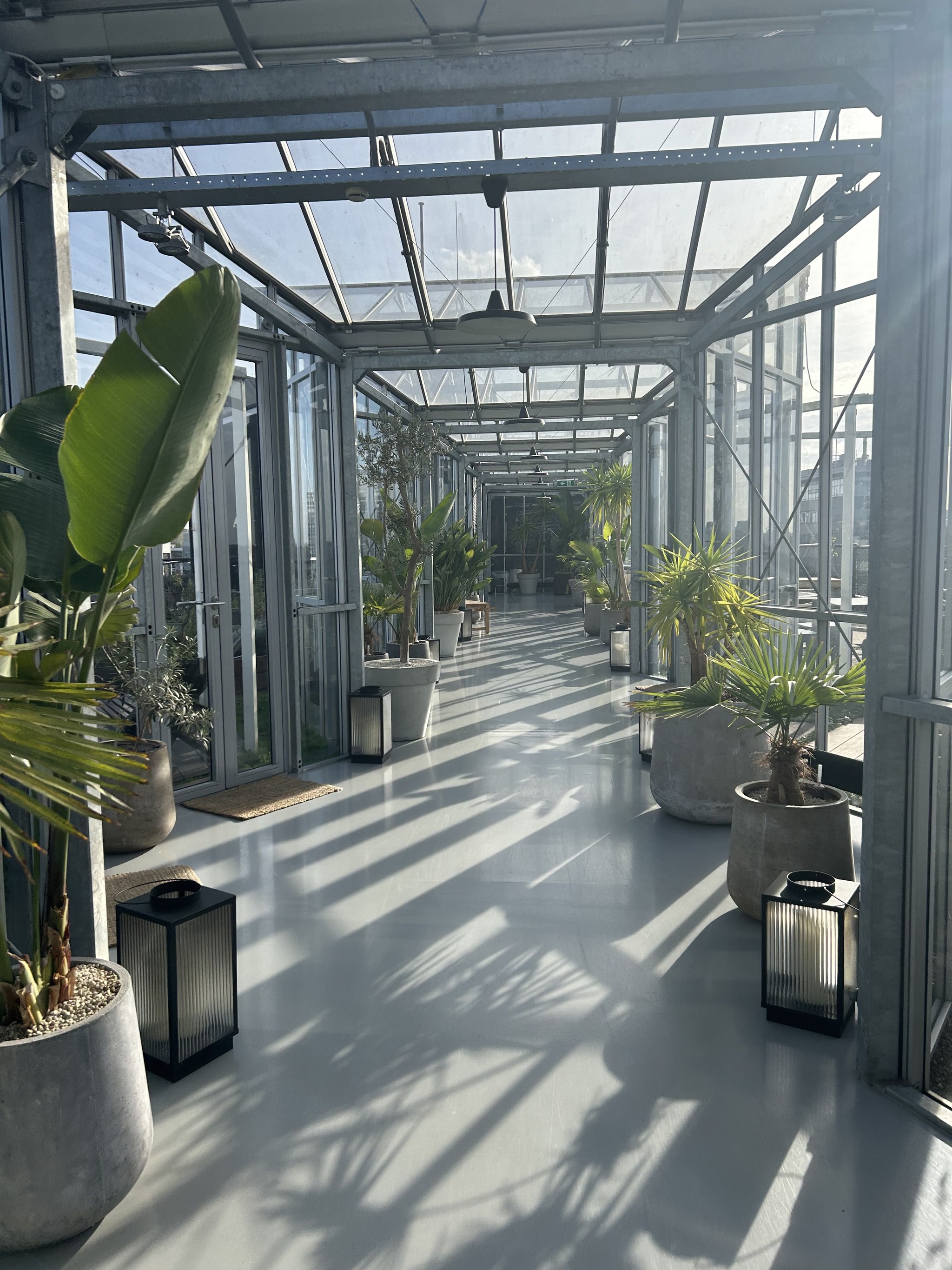 Cosy place with sun and plants