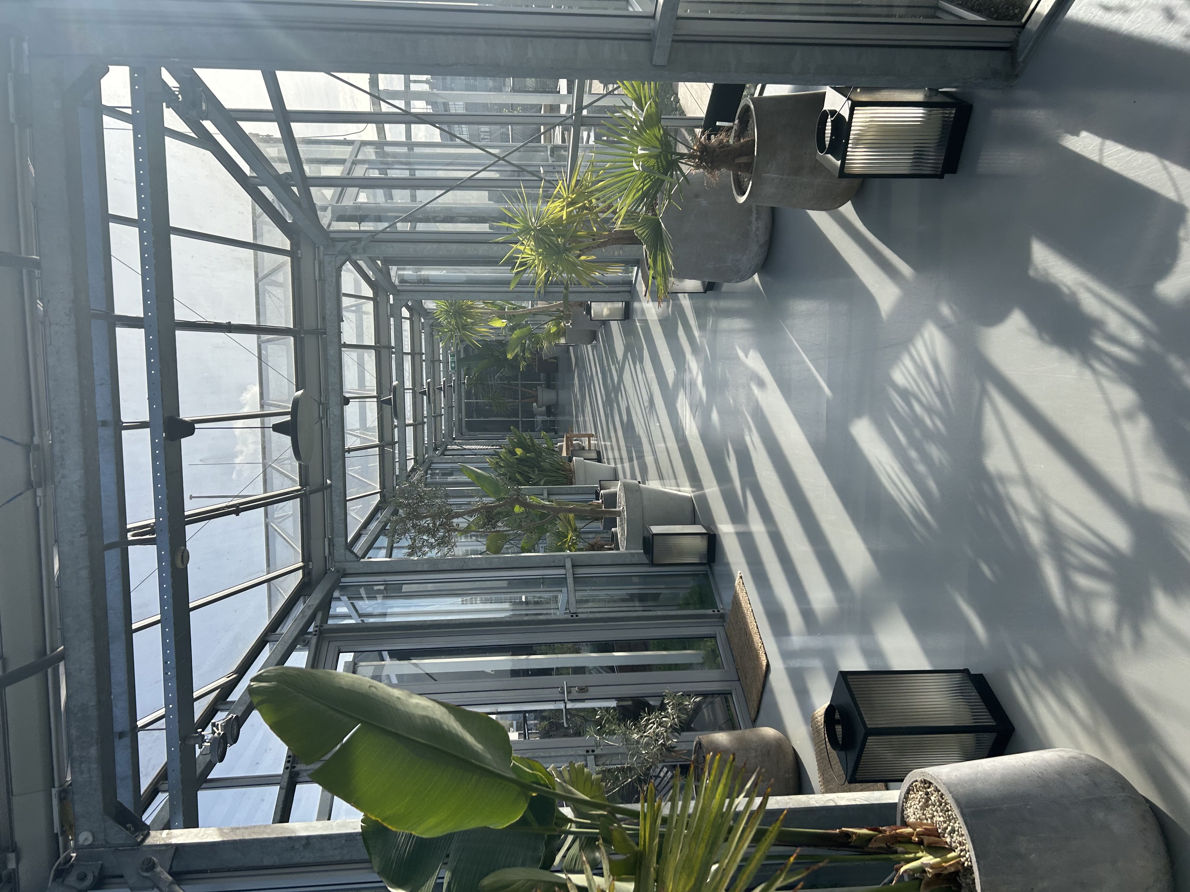 Cosy place with sun and plants