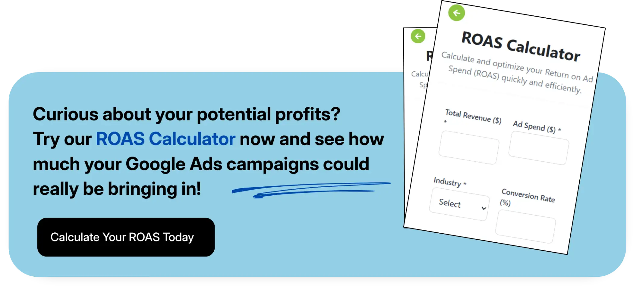 Coozmoo's ROAS Calculator