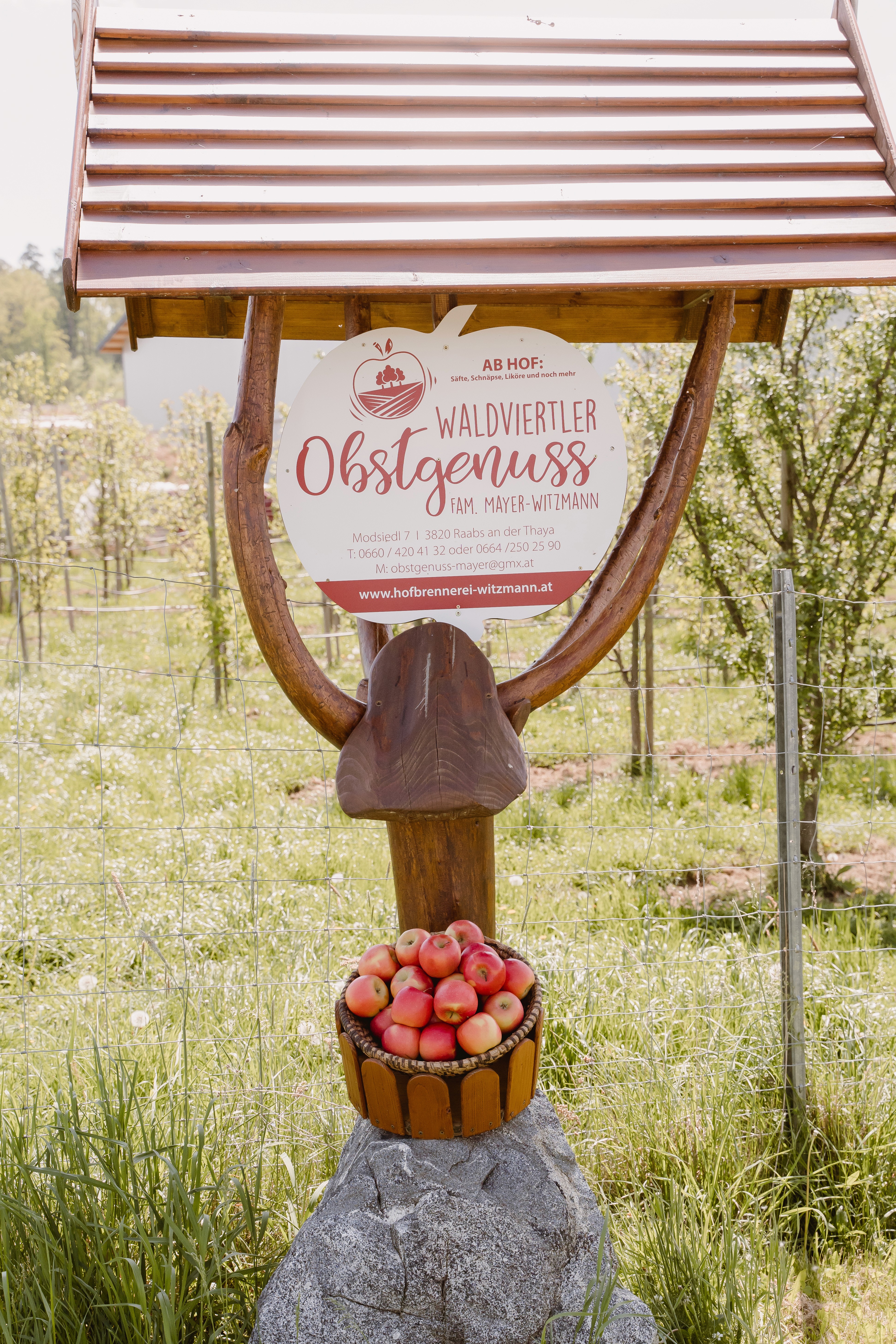 Cup of latte with heart-shaped foam art served at Garden café