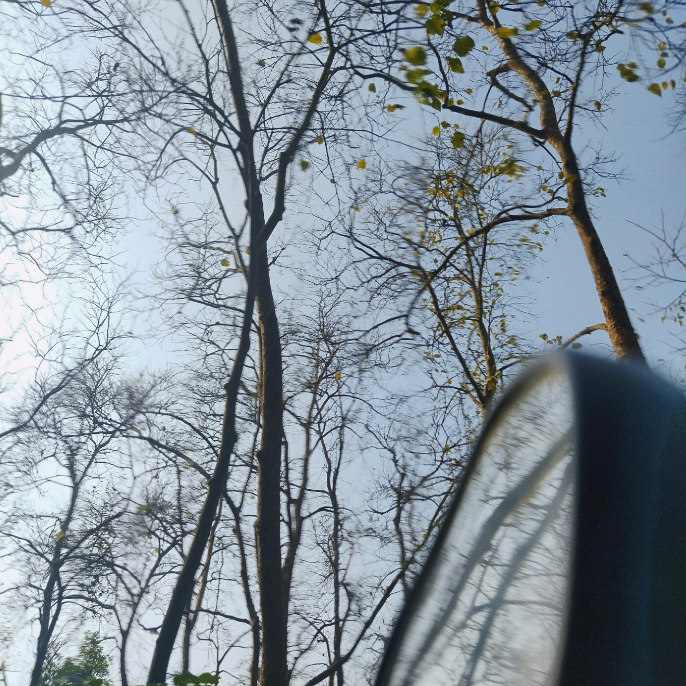 Blue Image