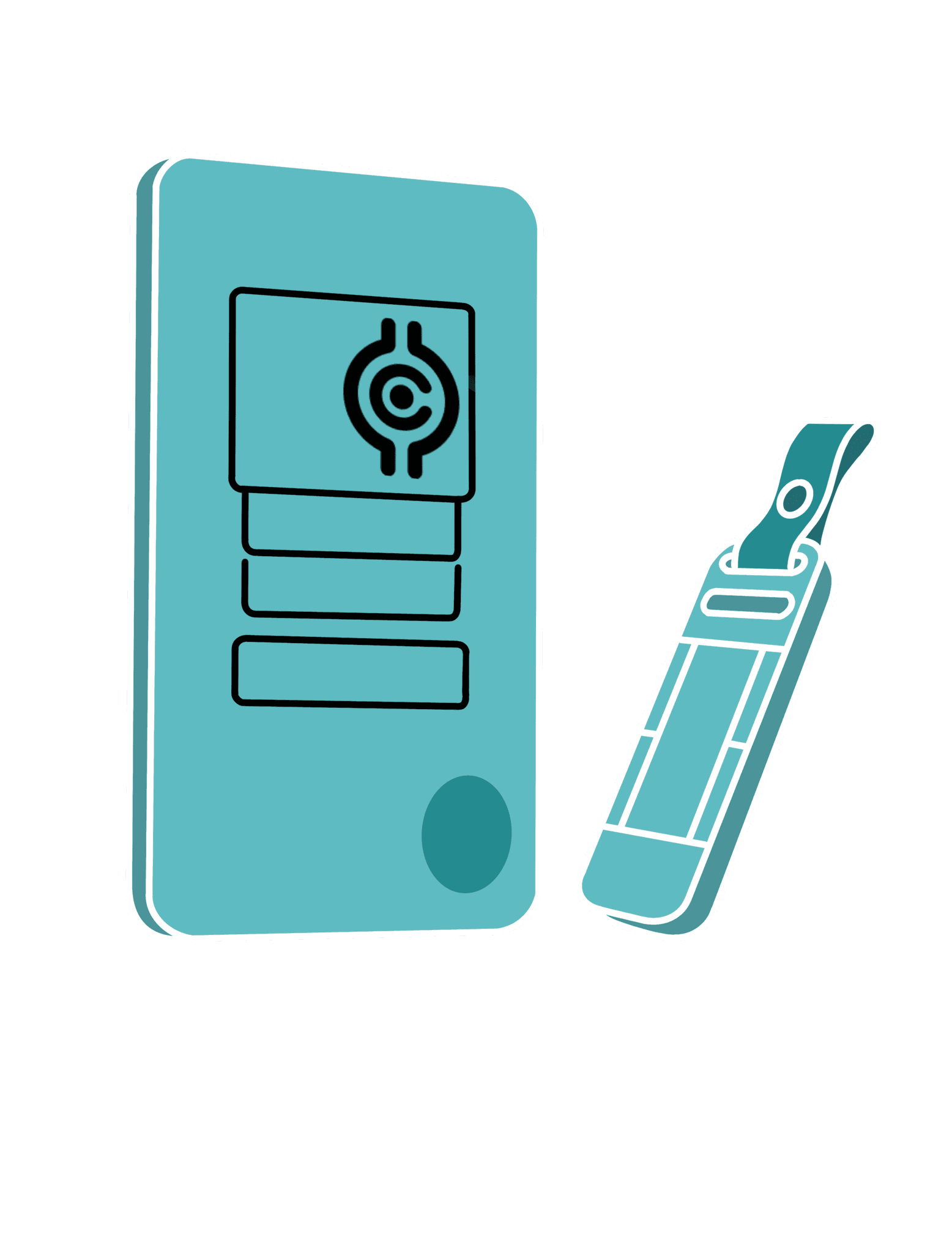 Visual of PHSM Hardware