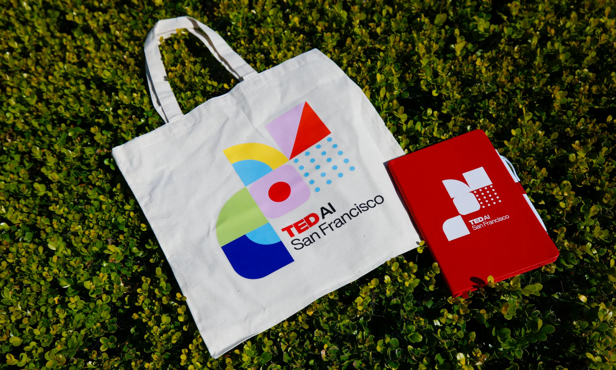 TEDAI San Francisco tote bag and notebook merch