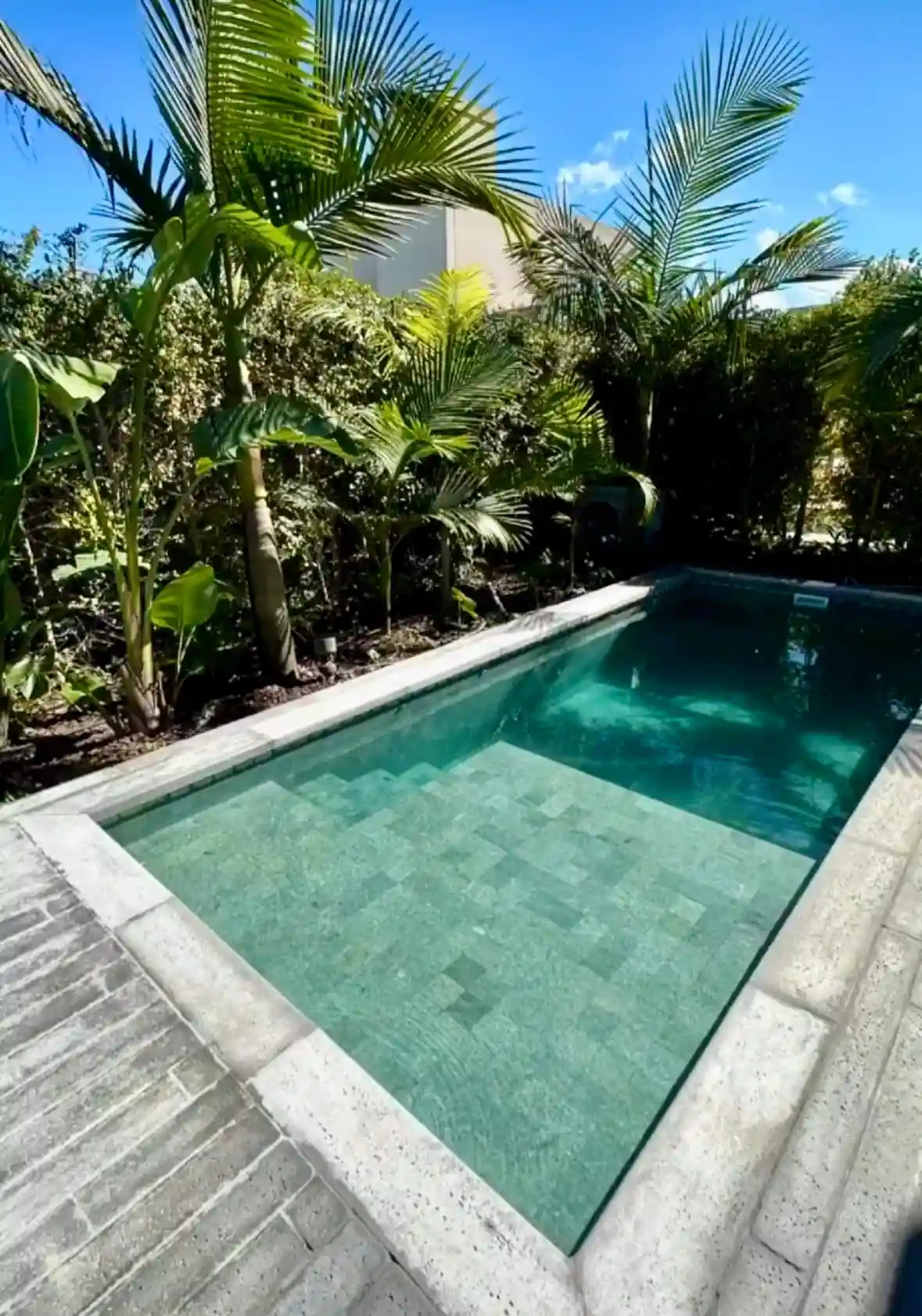 Pequeña piscina optimizada con amplia escalera de acceso, revestida en tonos esmeralda y rodeada de exuberante vegetación tropical.