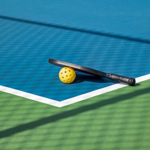 photo du terrain de pickleball au domaine de la brame, jeu de raquette accesible à tous proche de sarlat